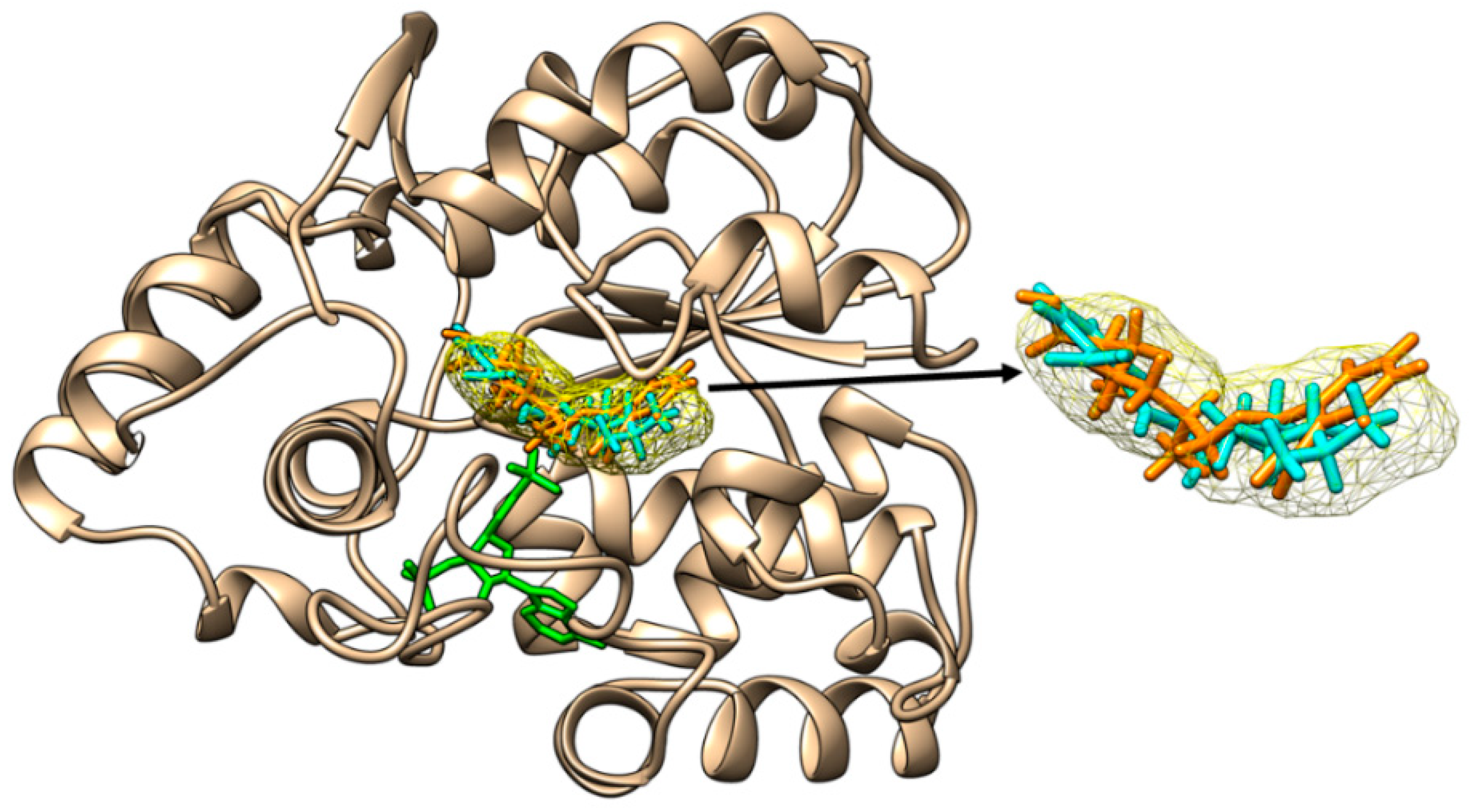 Molecules 28 06748 g002