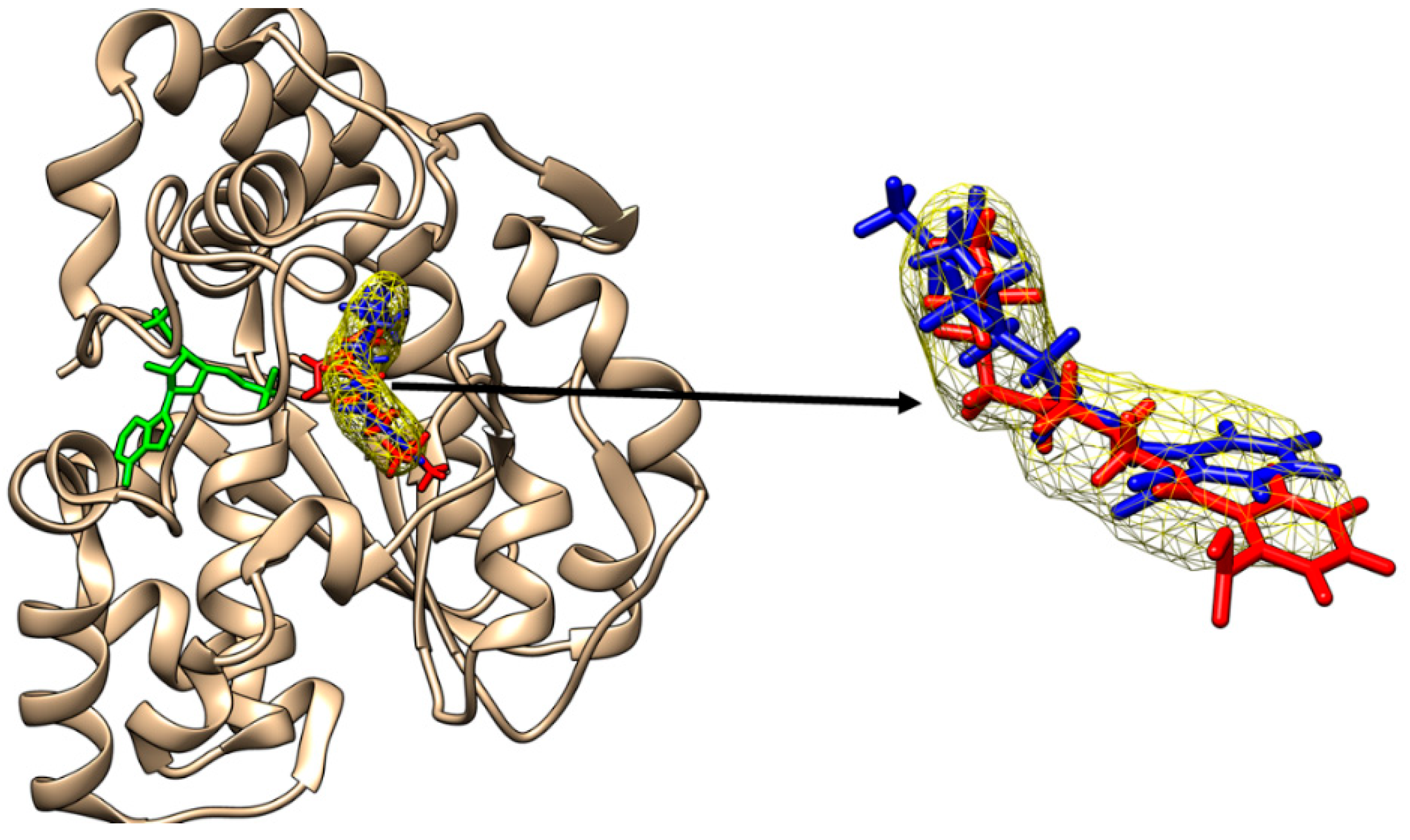 Molecules 28 06748 g003