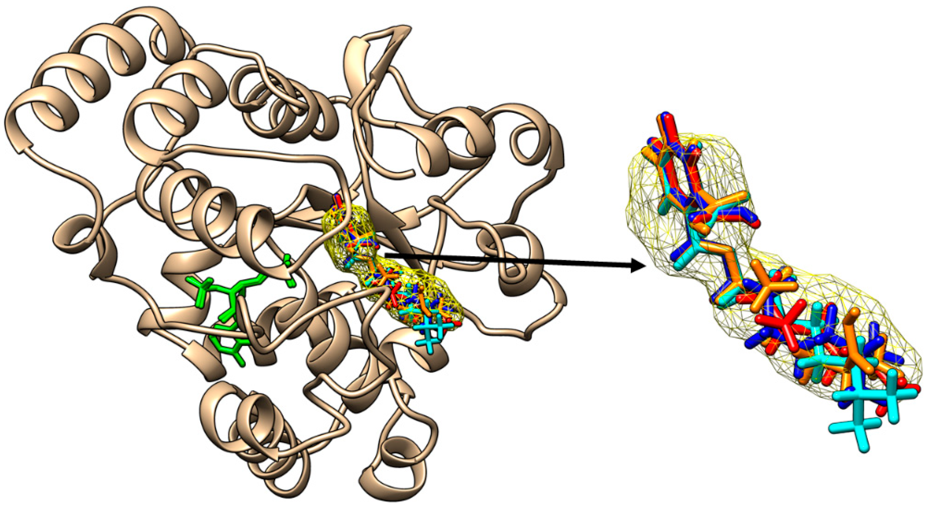 Molecules 28 06748 g004