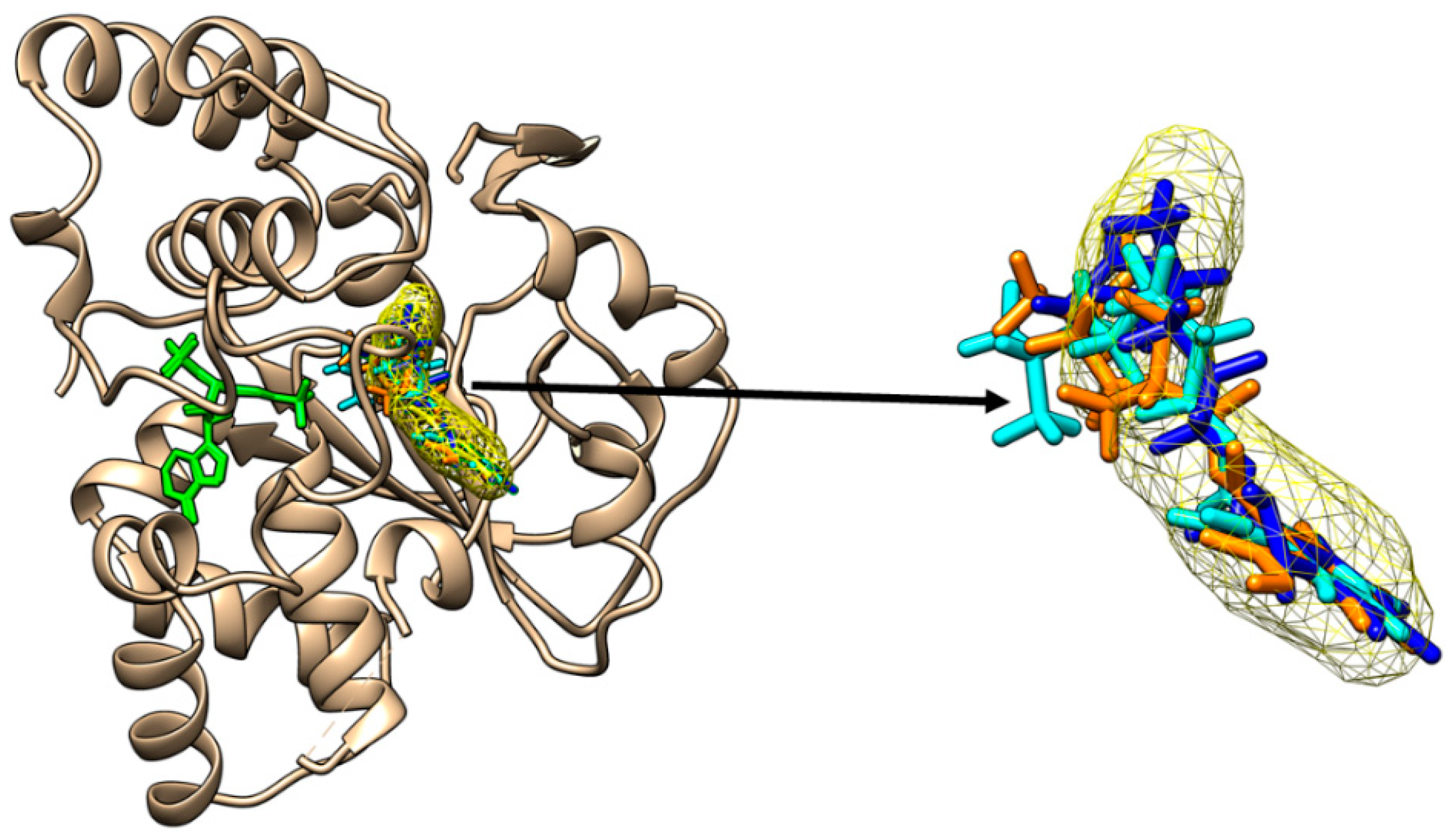 Molecules 28 06748 g005