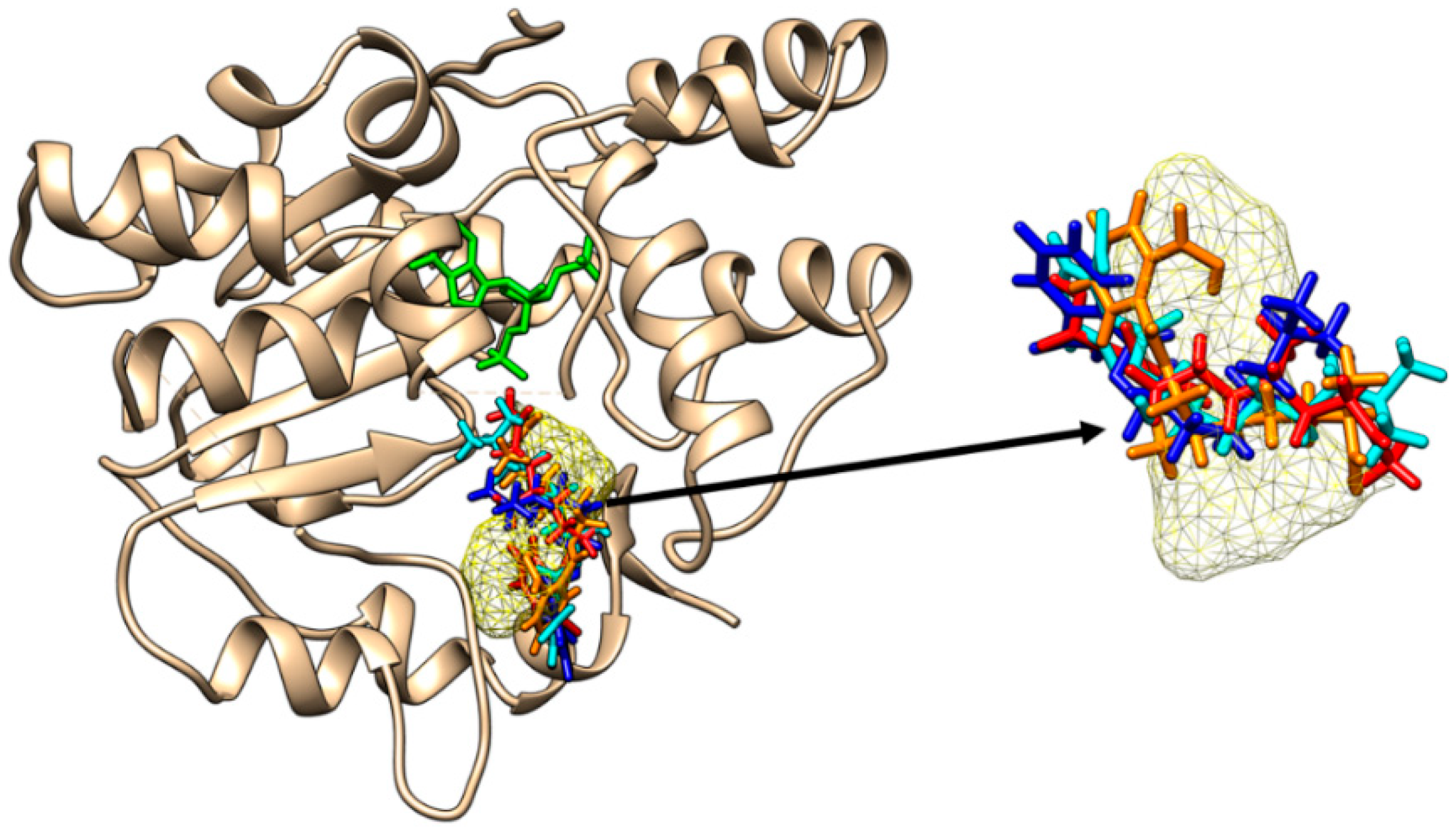 Molecules 28 06748 g006