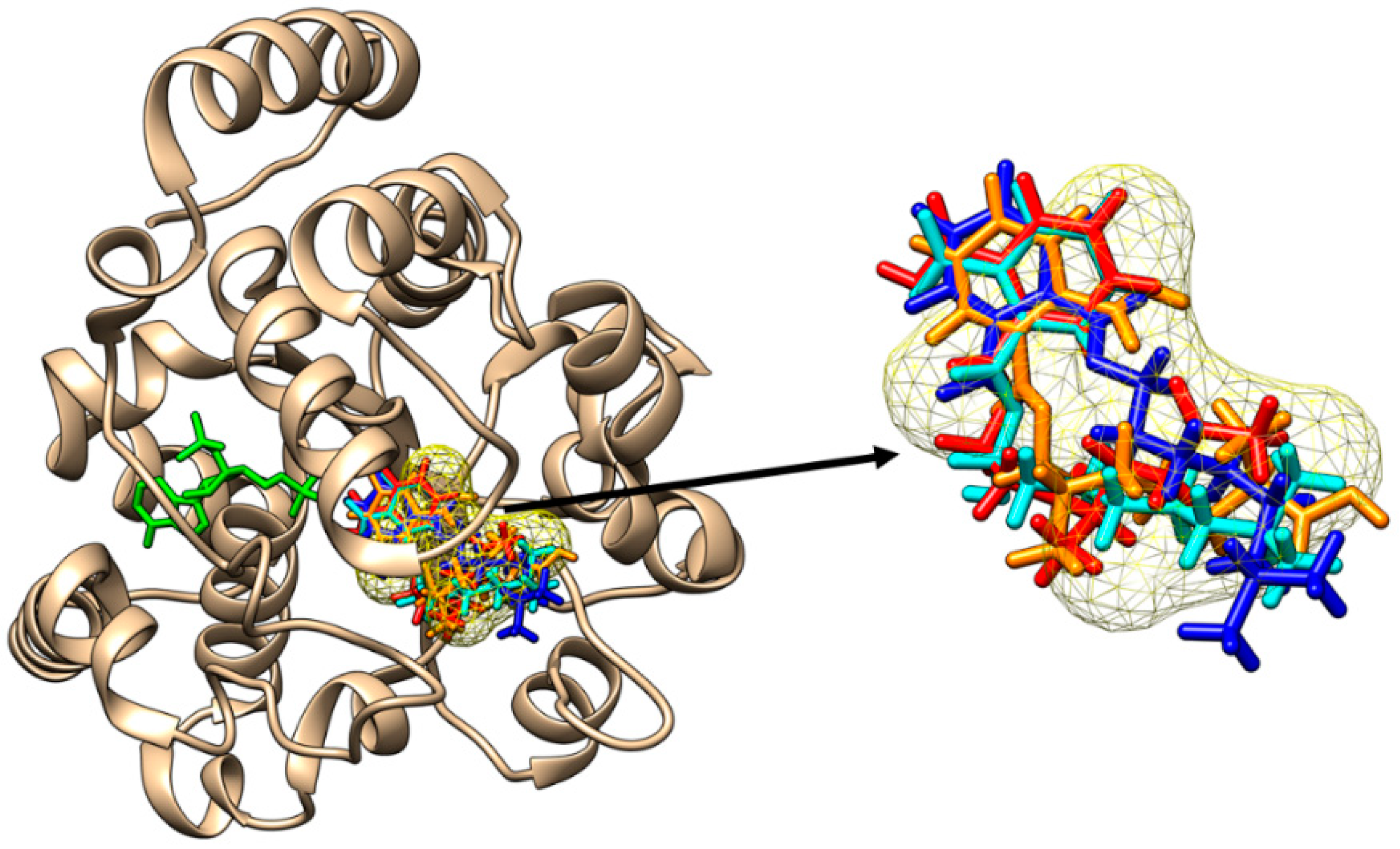 Molecules 28 06748 g007