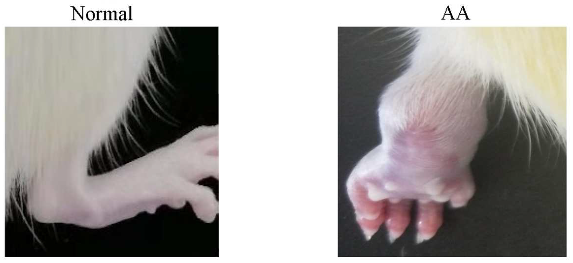 Molecules 28 06751 g001