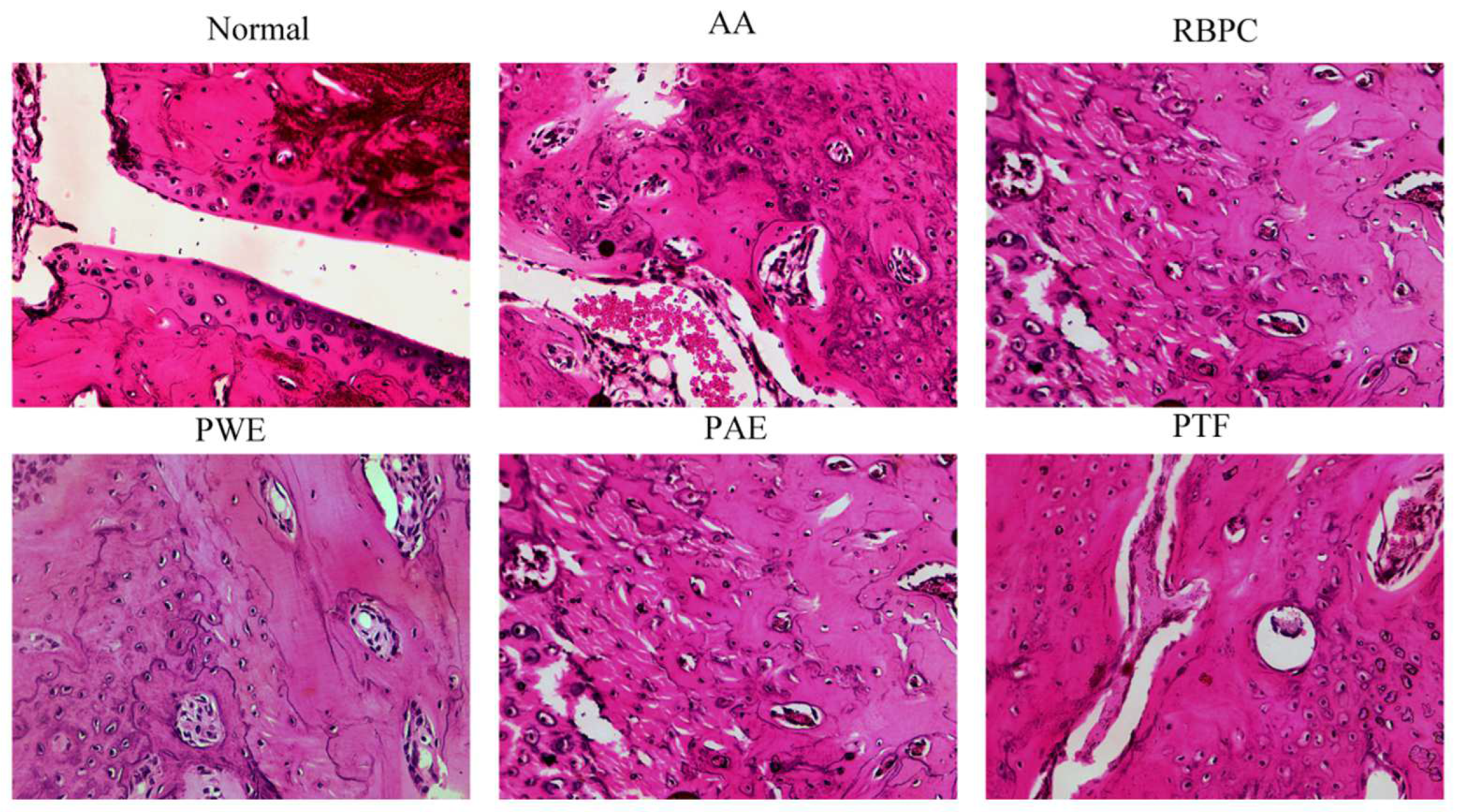 Molecules 28 06751 g003