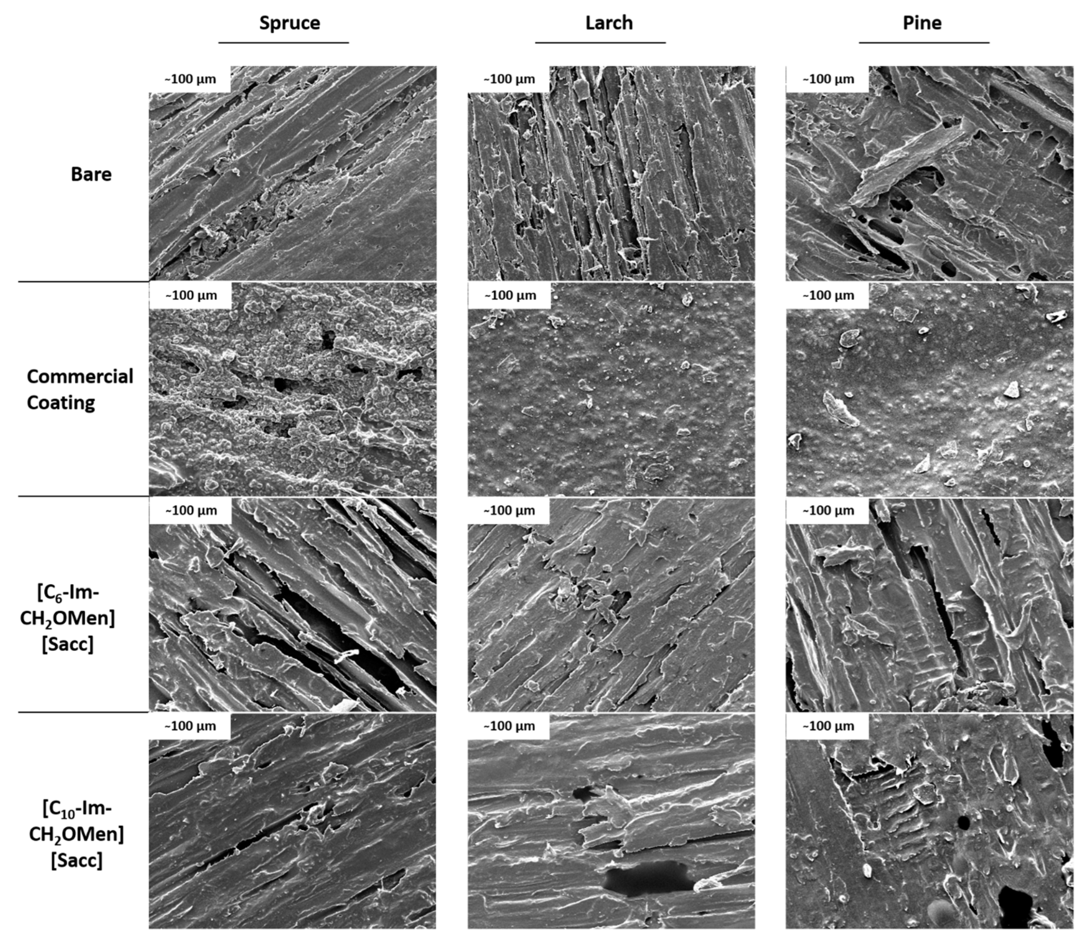 Molecules 28 06758 g003