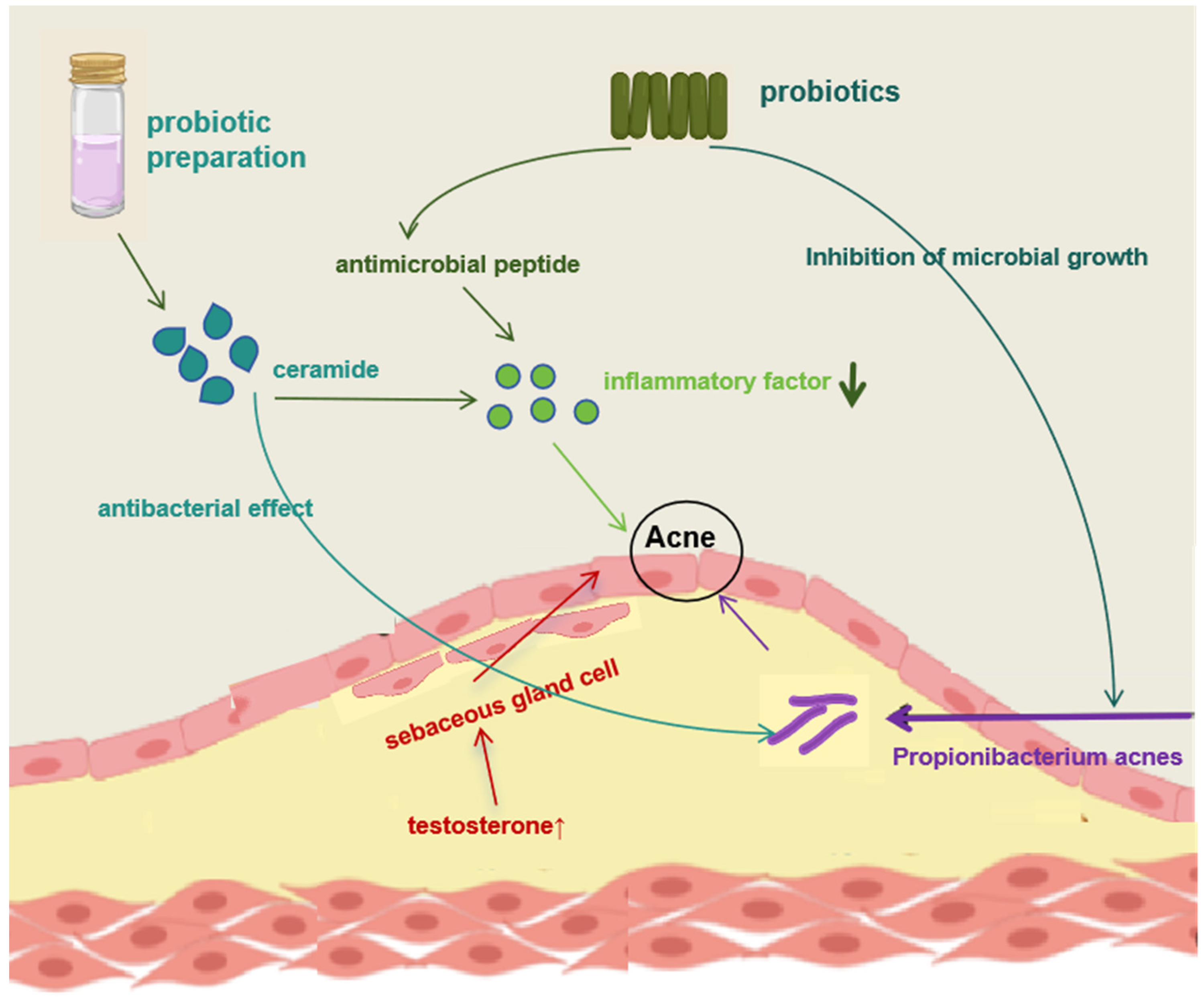 Molecules 28 06765 g005