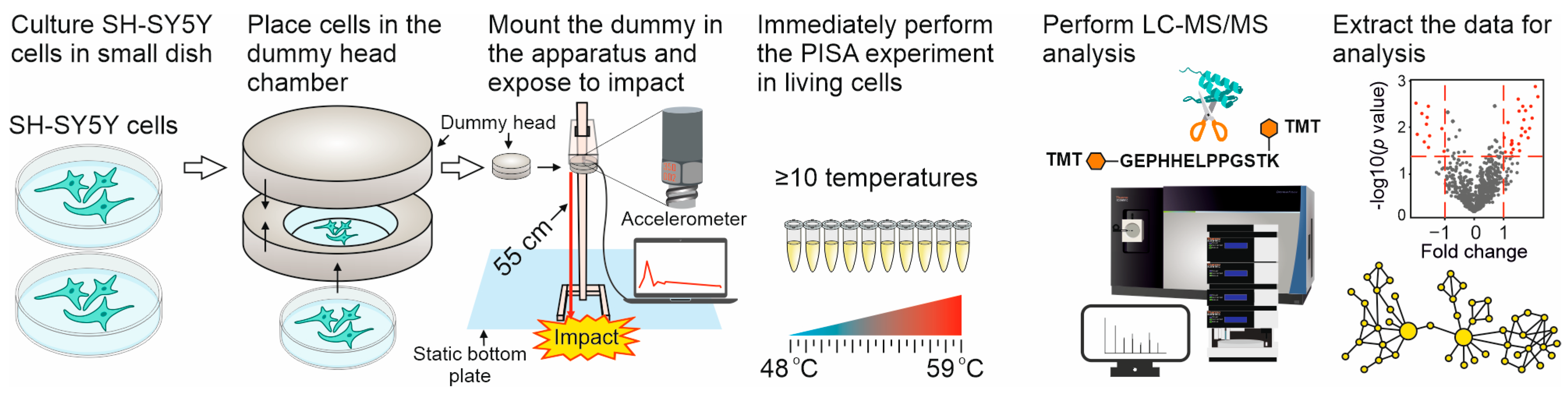 Molecules 28 06768 g001