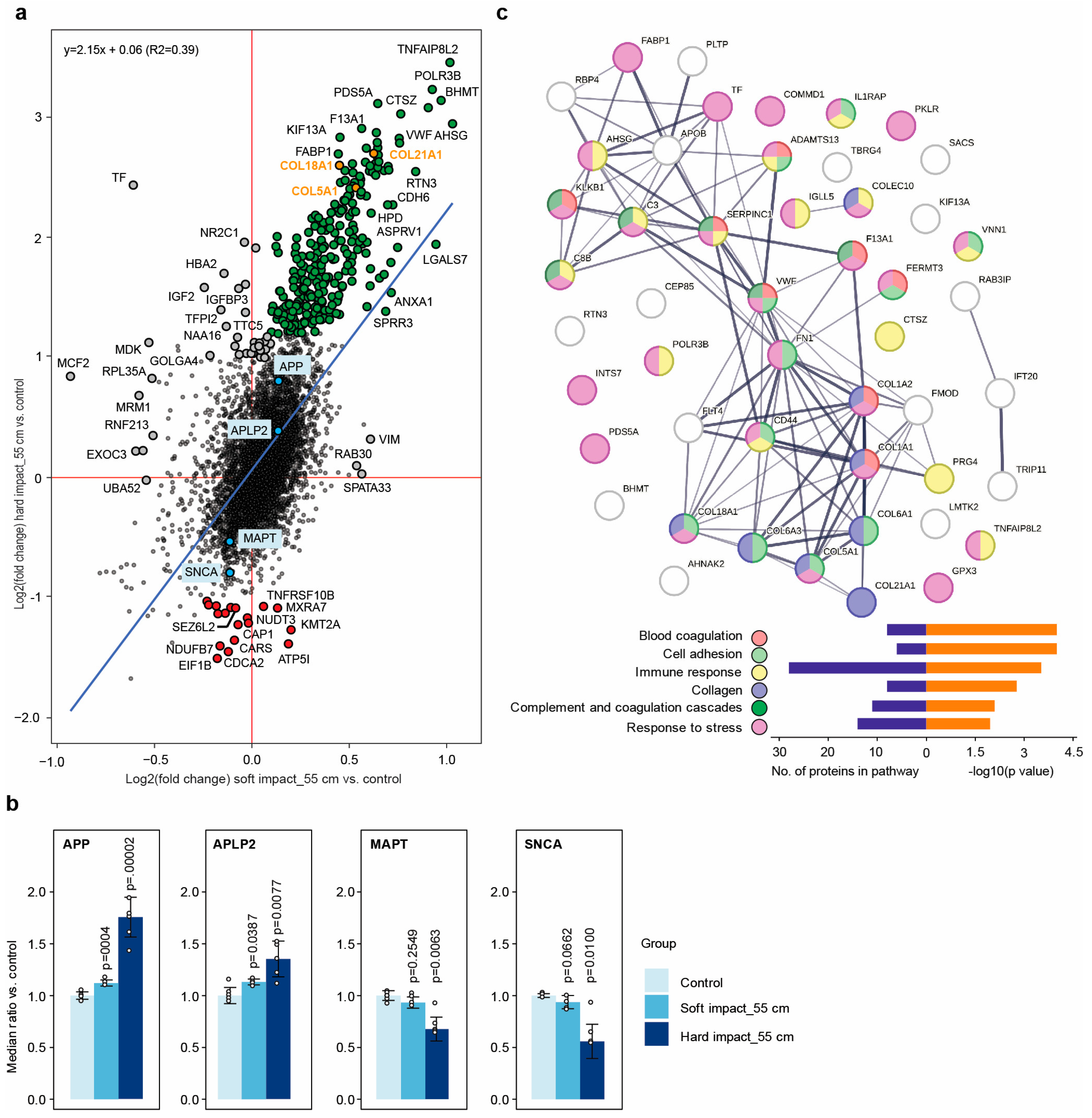 Molecules 28 06768 g004