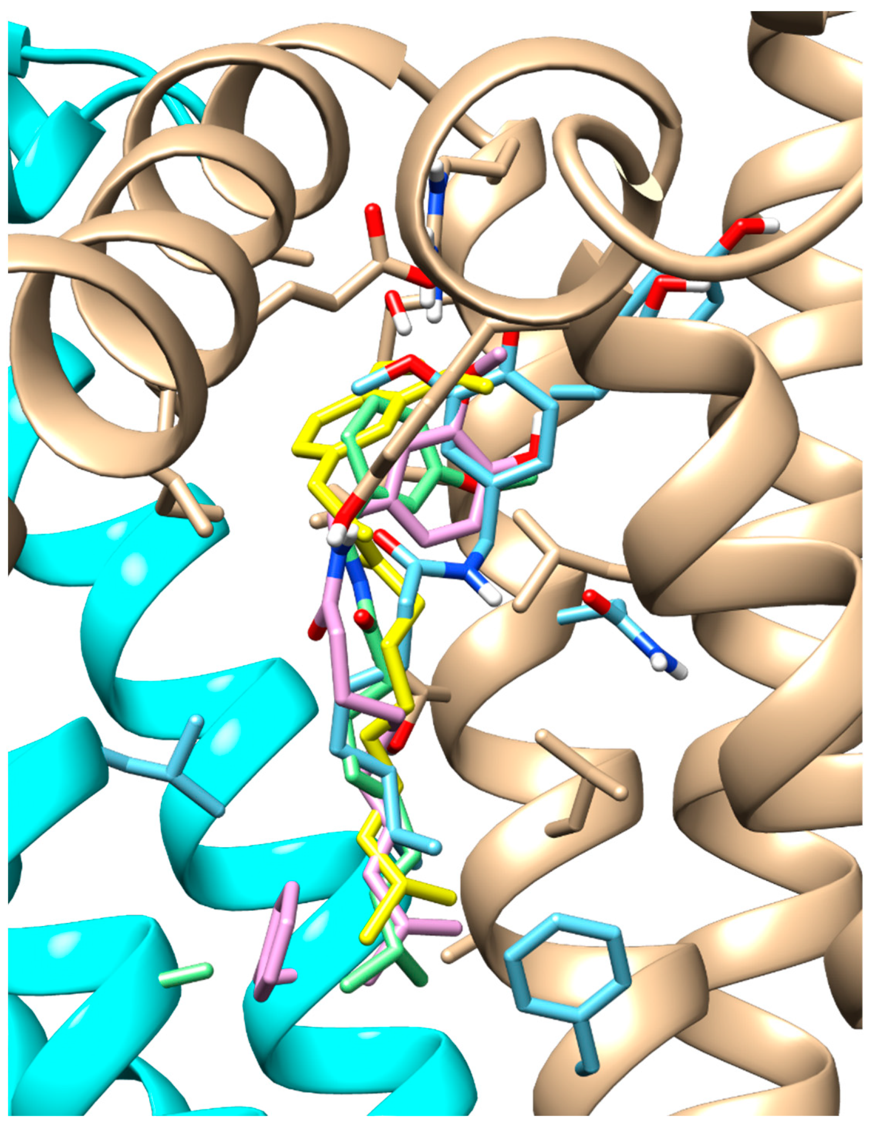 Molecules 28 06772 g004