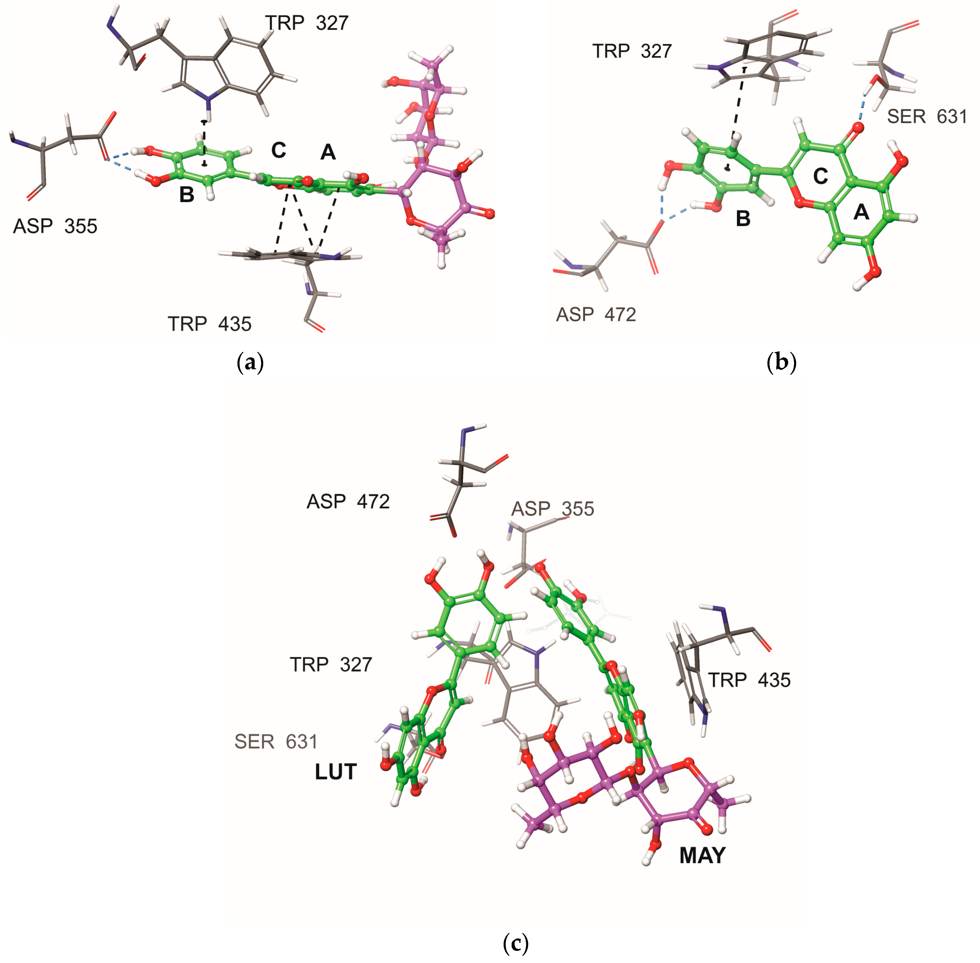 Molecules 28 06778 g005