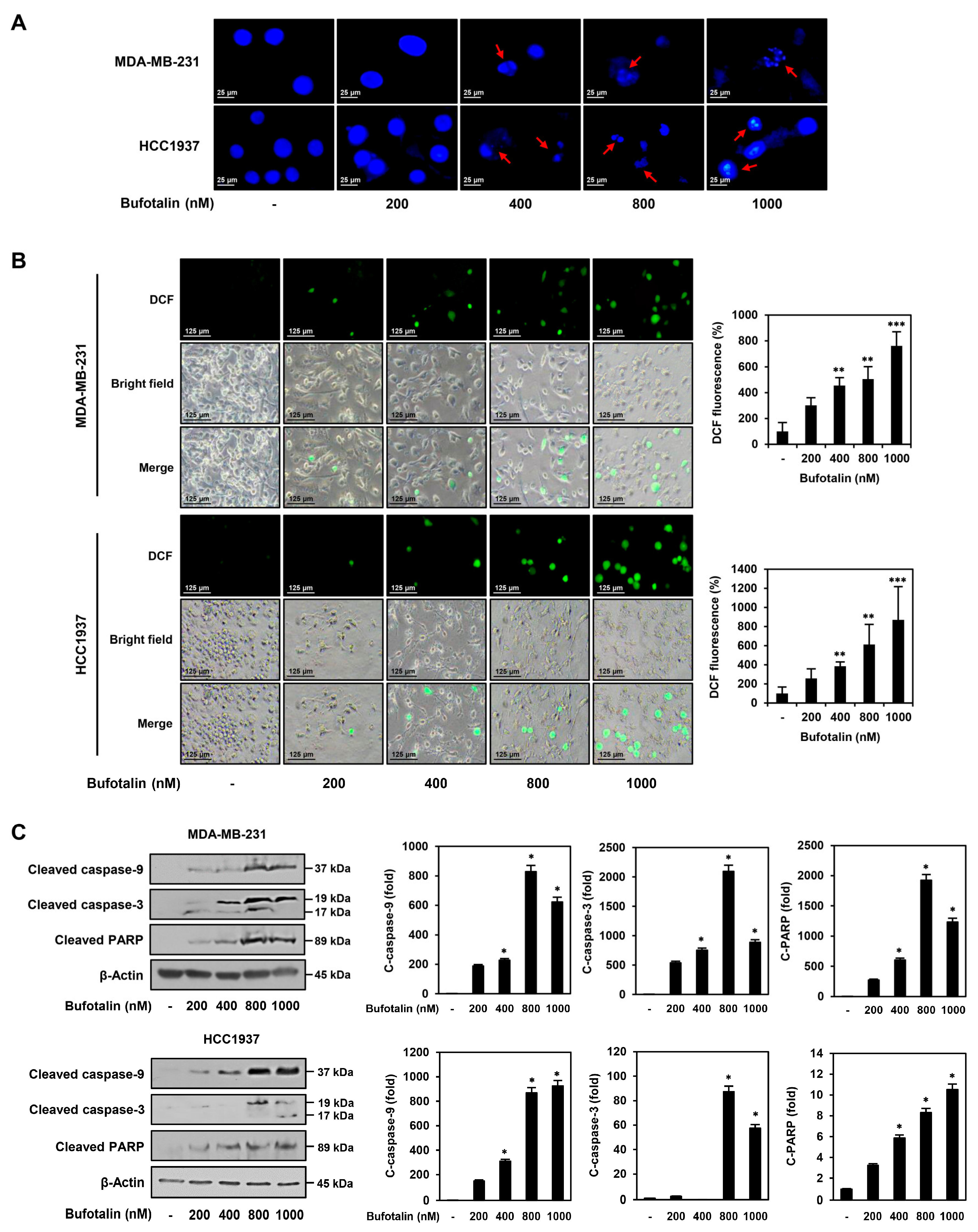 Molecules 28 06783 g003