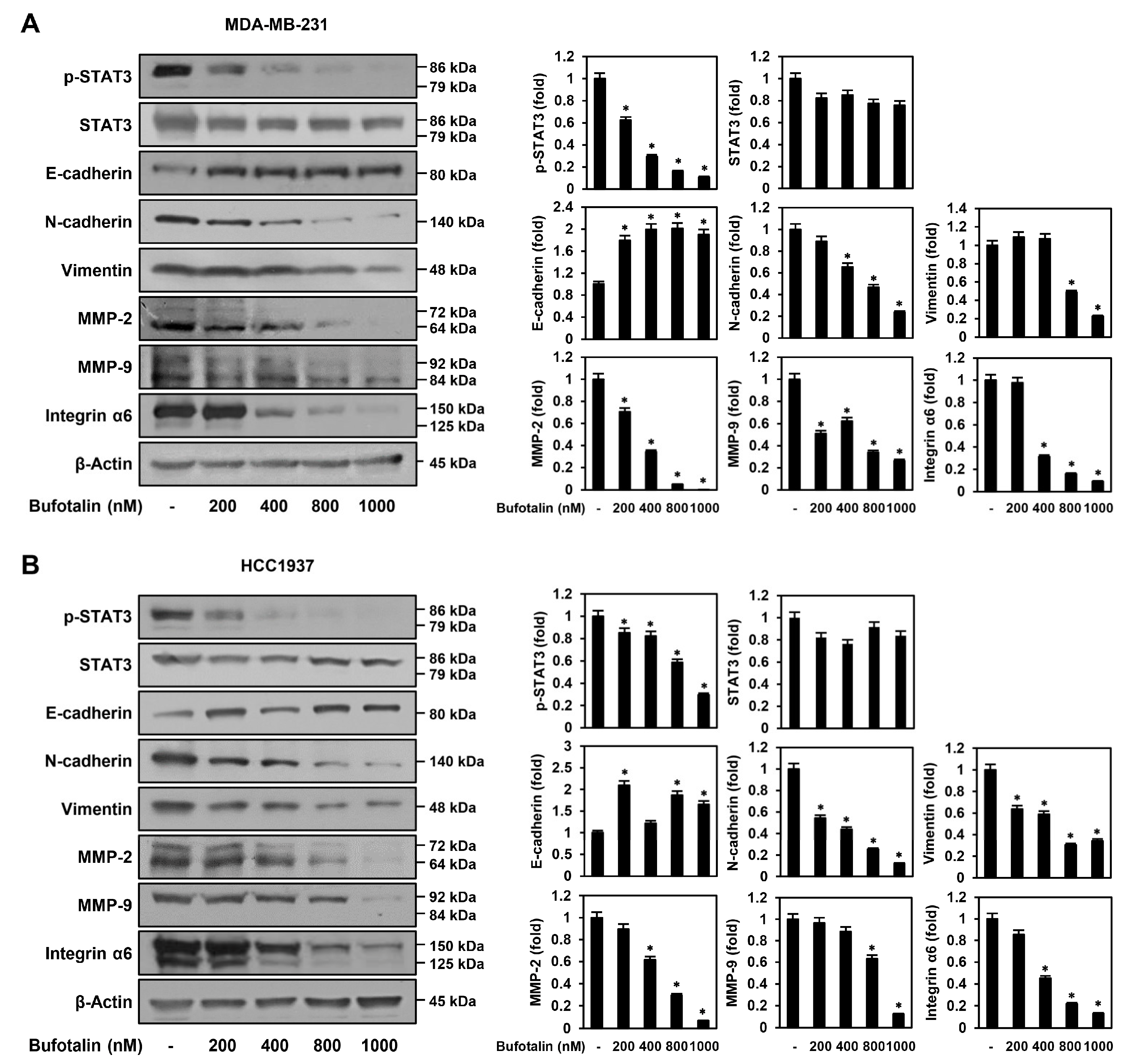 Molecules 28 06783 g005