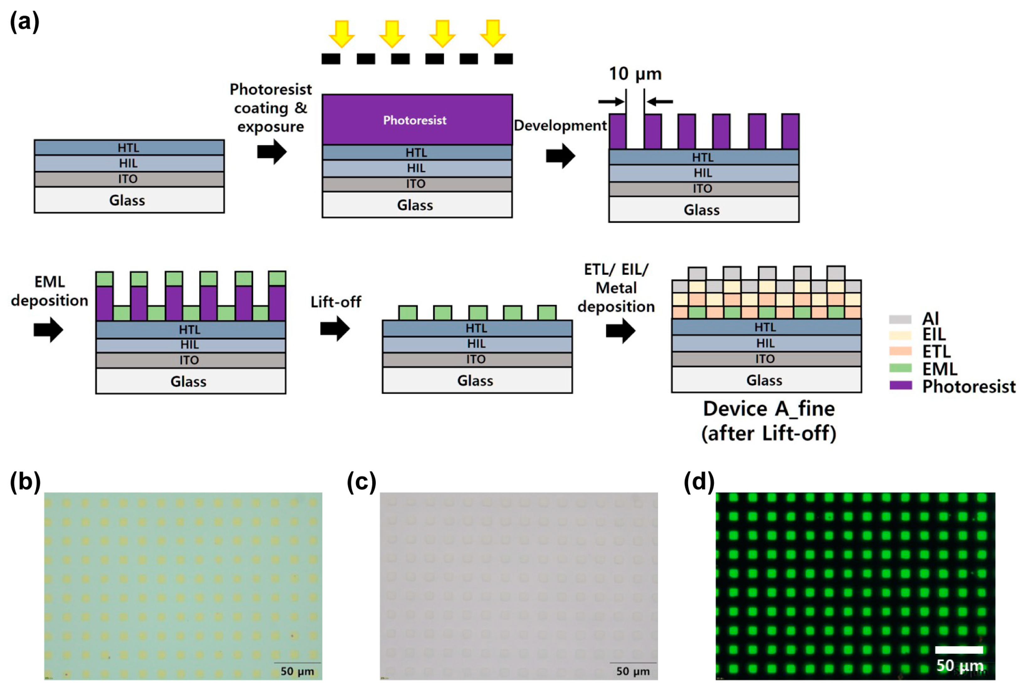 Molecules 28 06784 g004