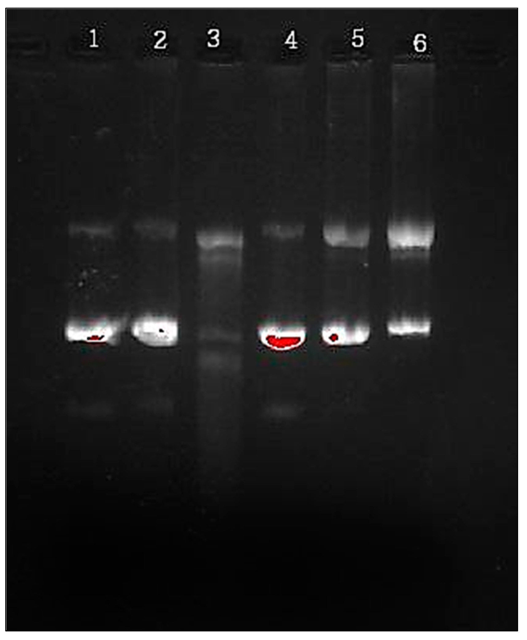 Molecules 28 06797 g007