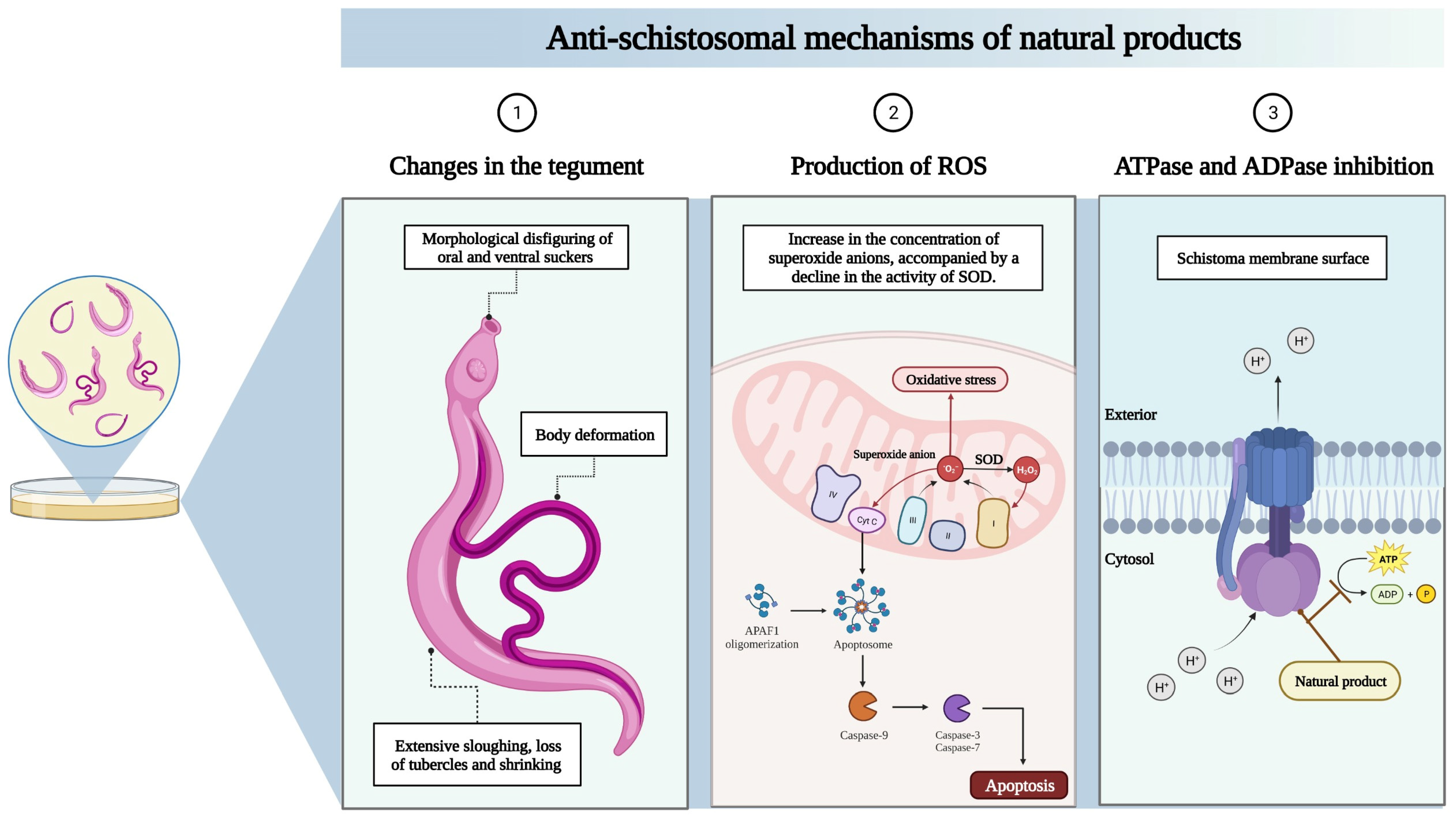 Molecules 28 06807 g002