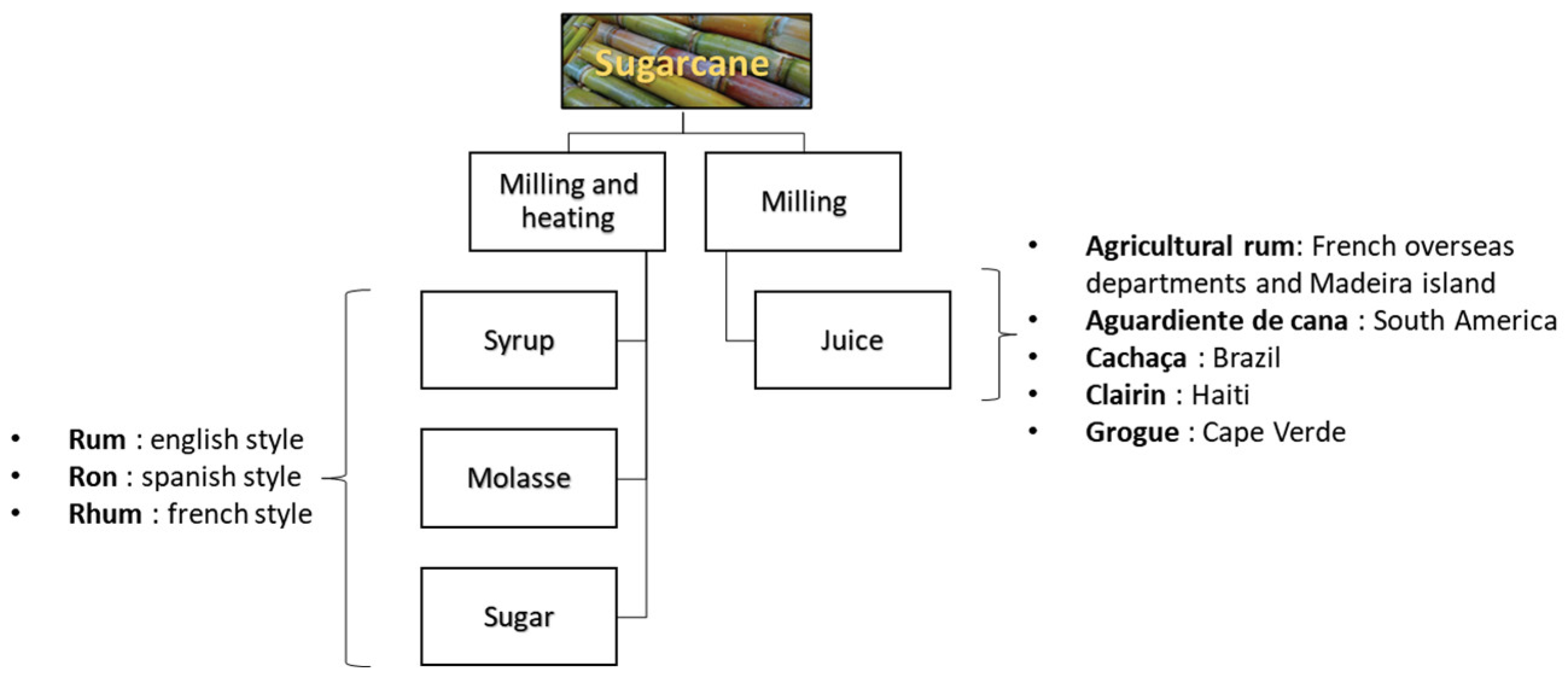 Molecules 28 06810 g004 Molecules 28 06810 g004