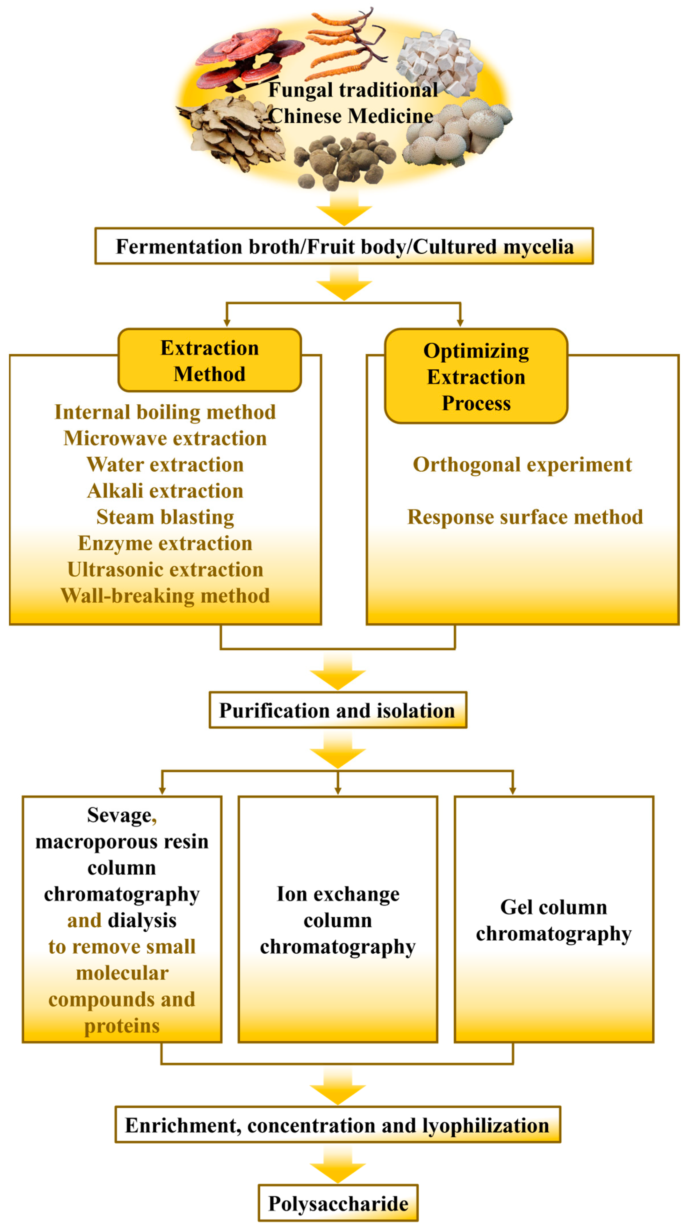 Fermentation, Free Full-Text