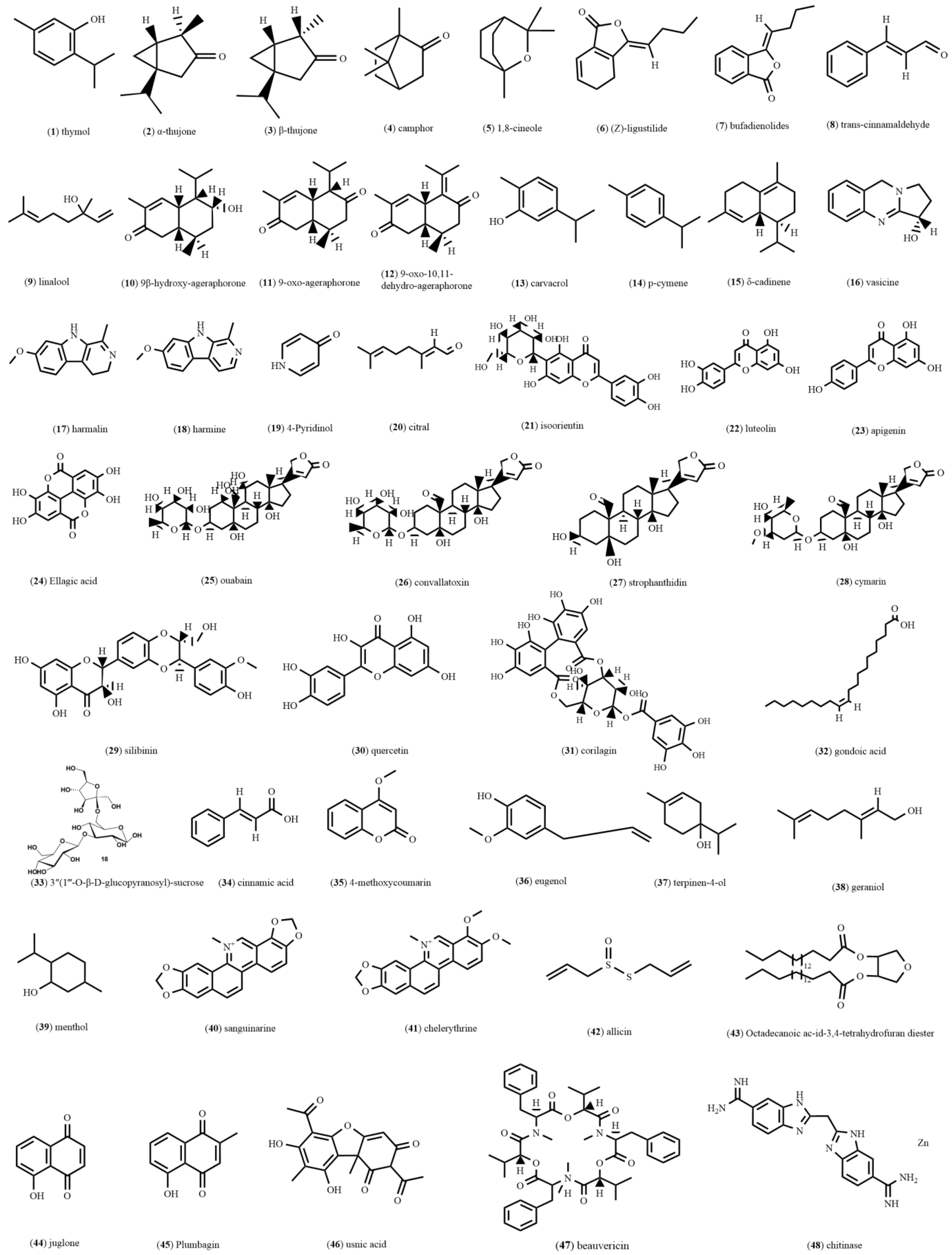 Molecules 28 06818 g001