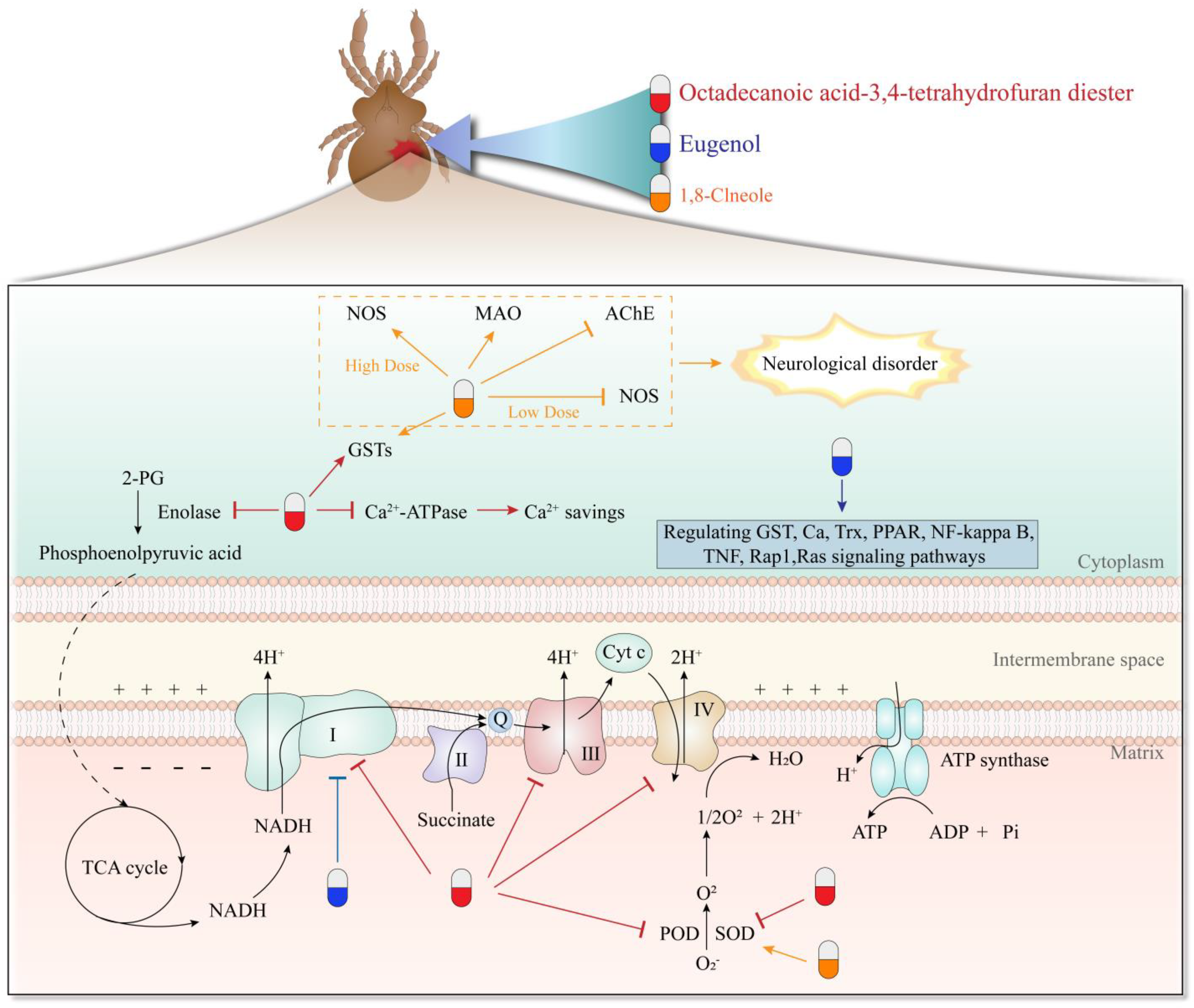 Molecules 28 06818 g002