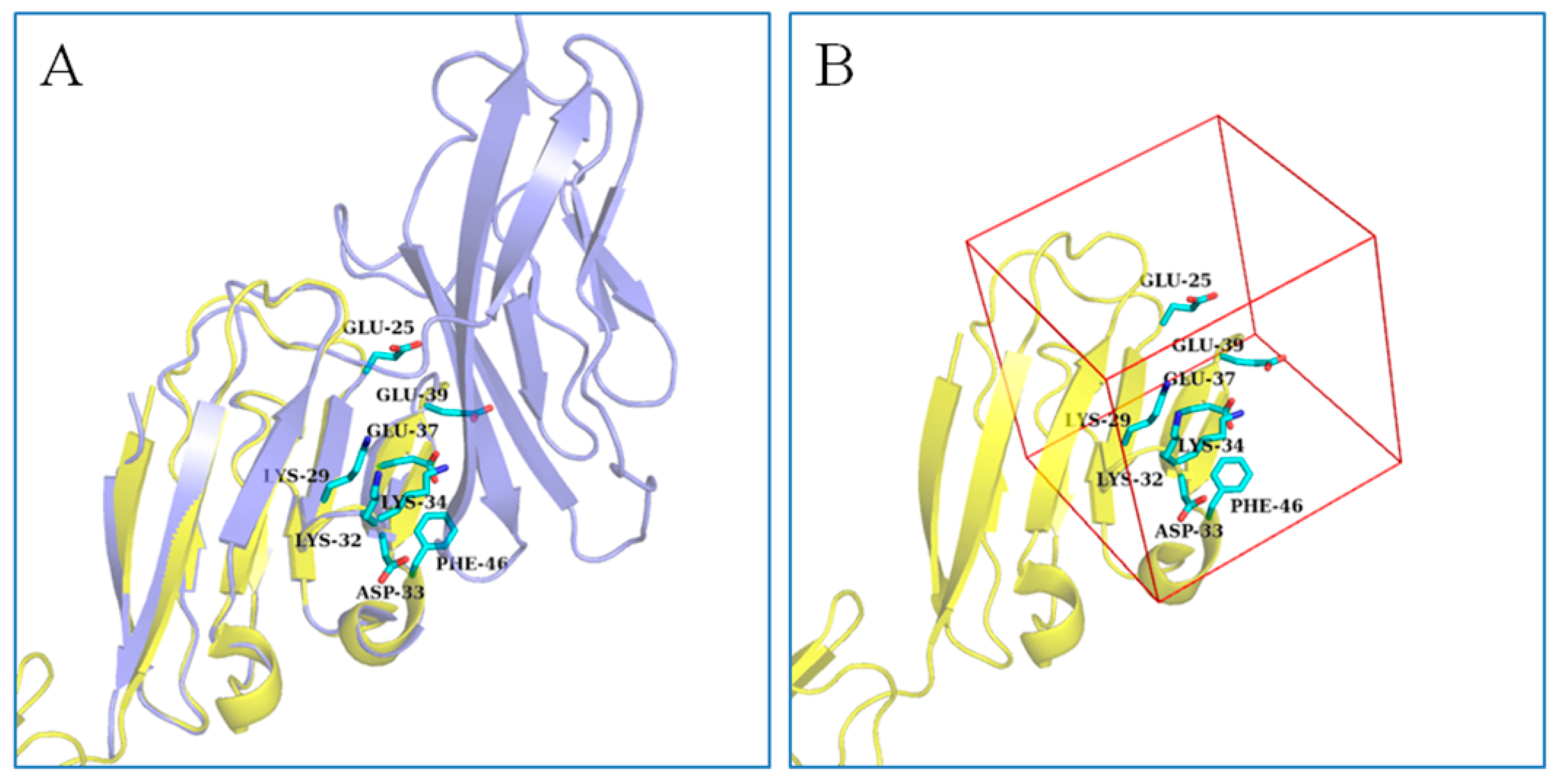 Molecules 28 06819 g002