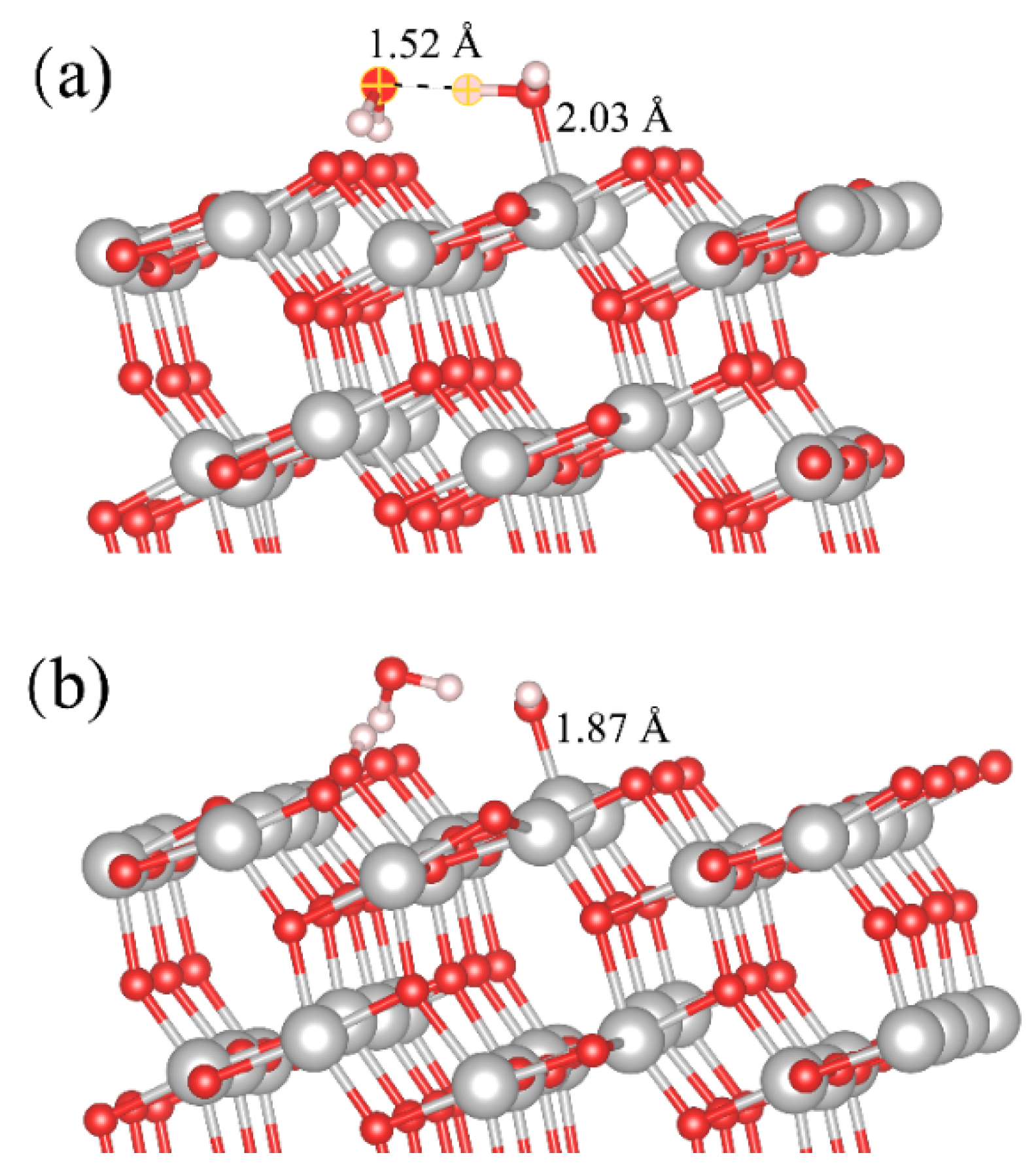 Molecules 28 06823 g006