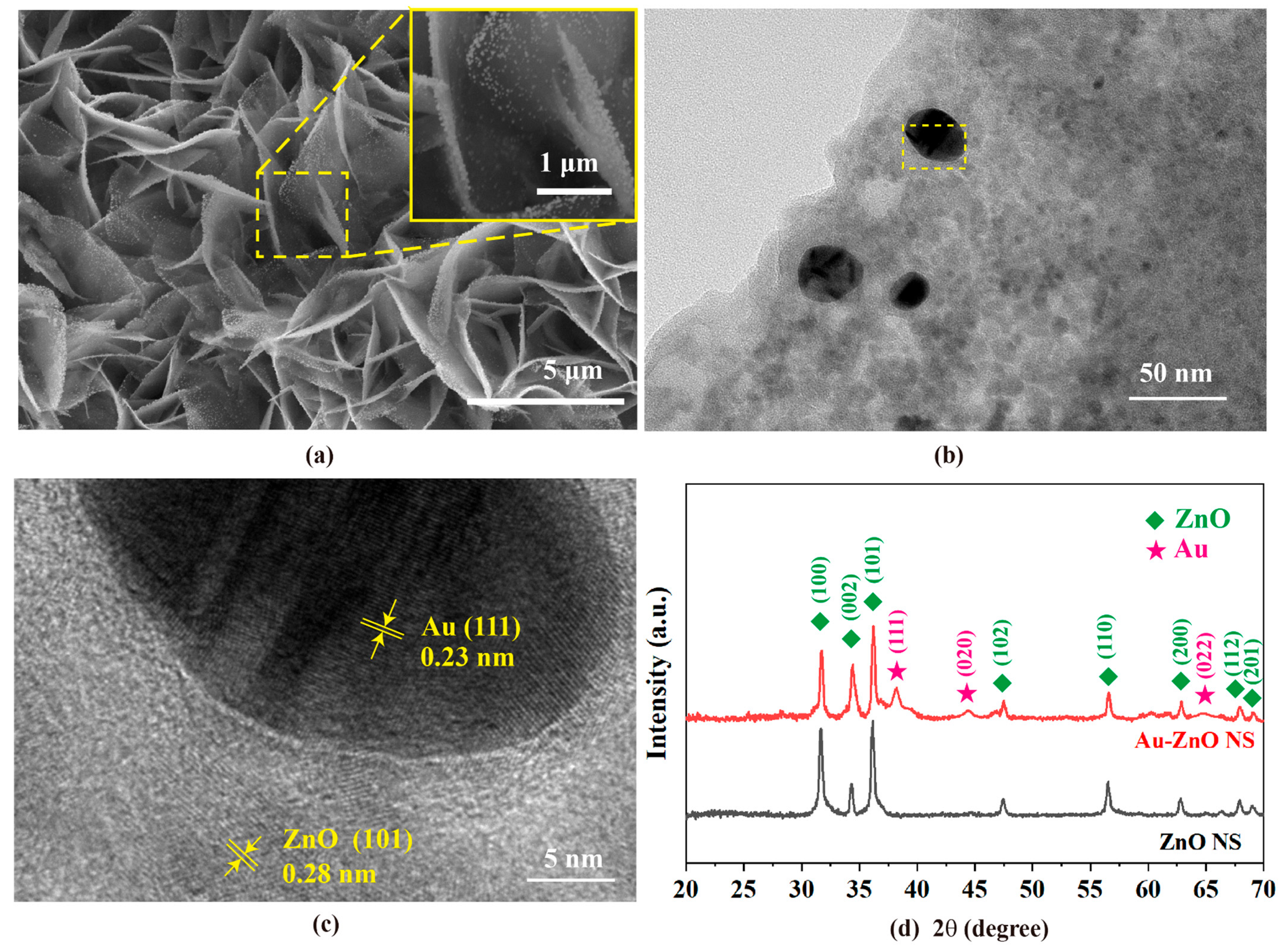 Molecules 28 06827 g002