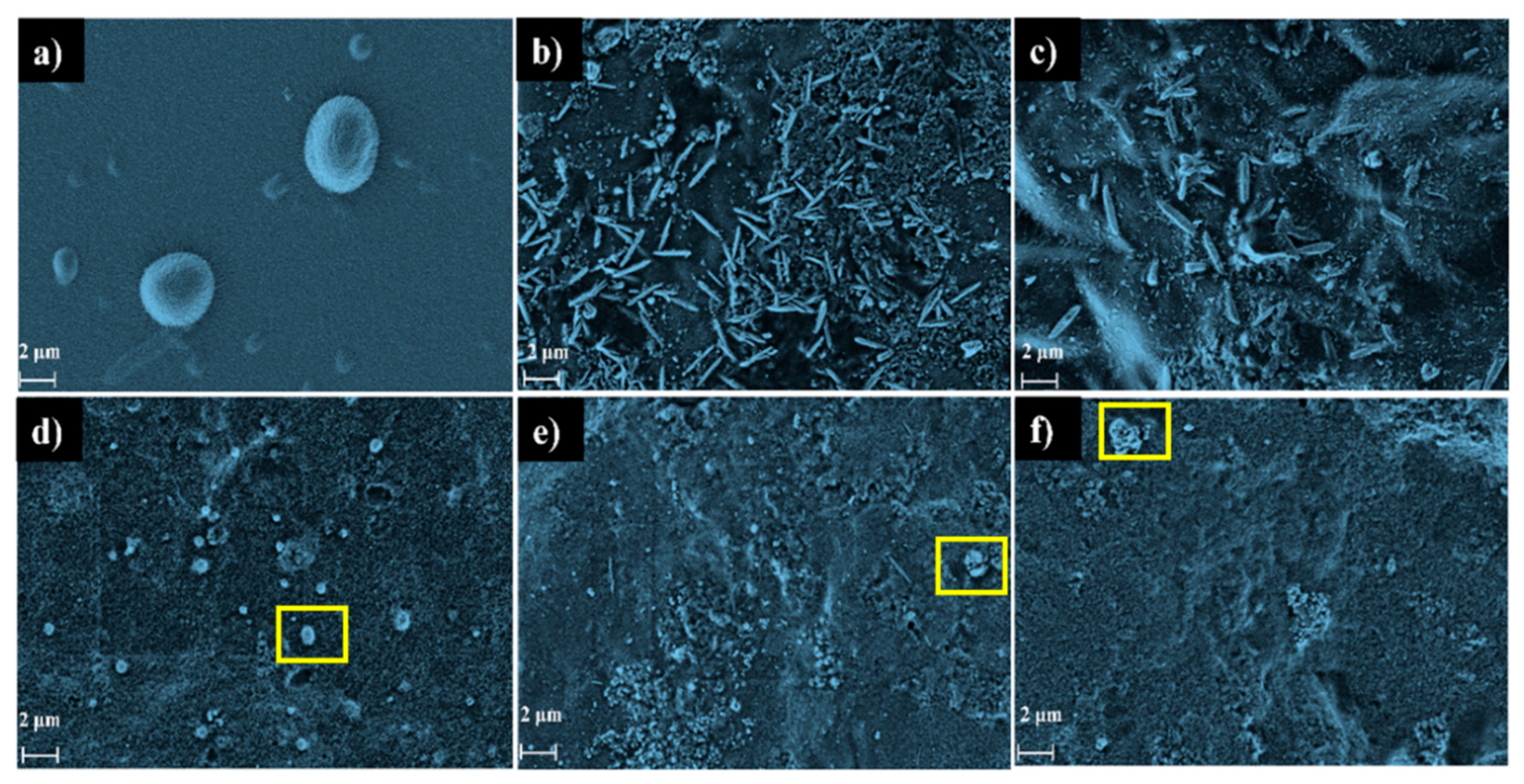 Molecules 28 06829 g004