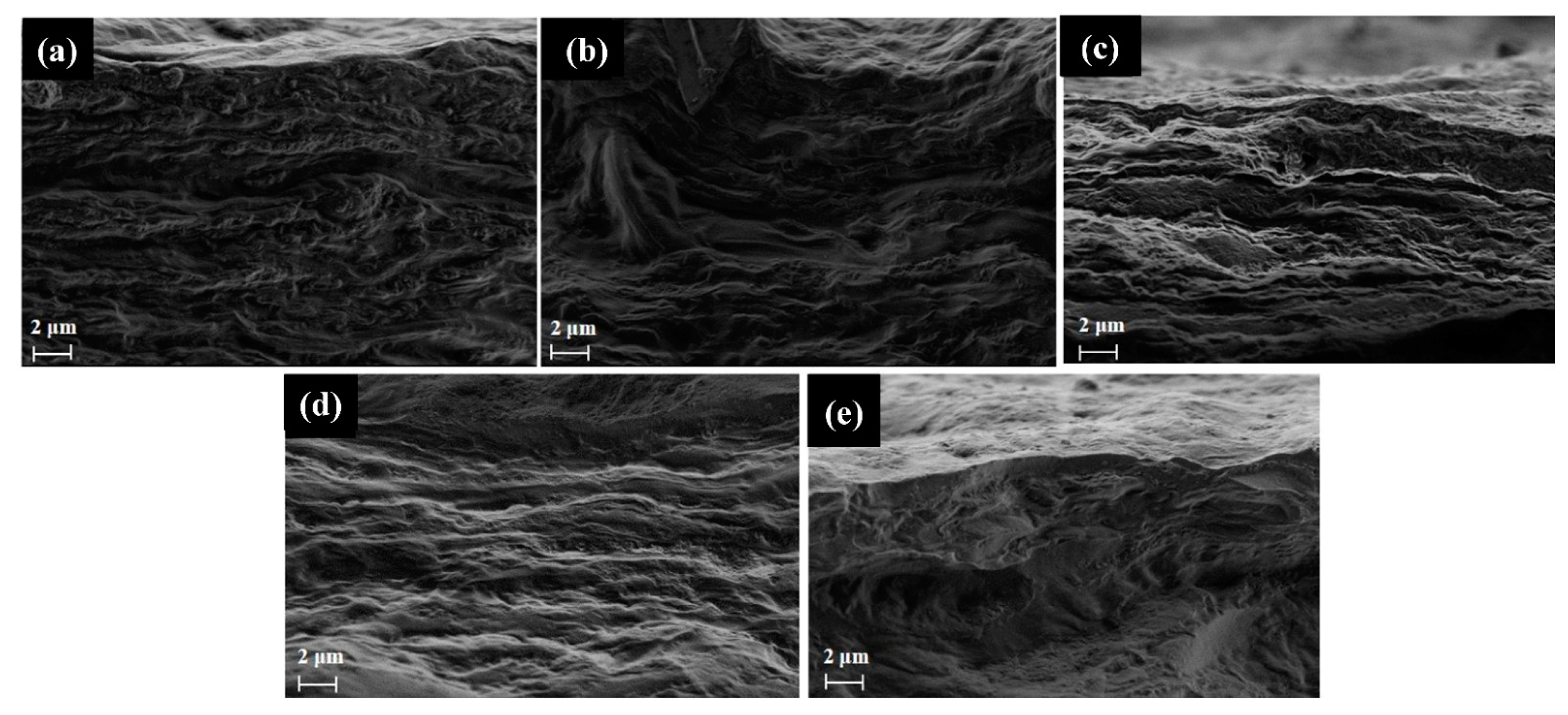 Molecules 28 06829 g005