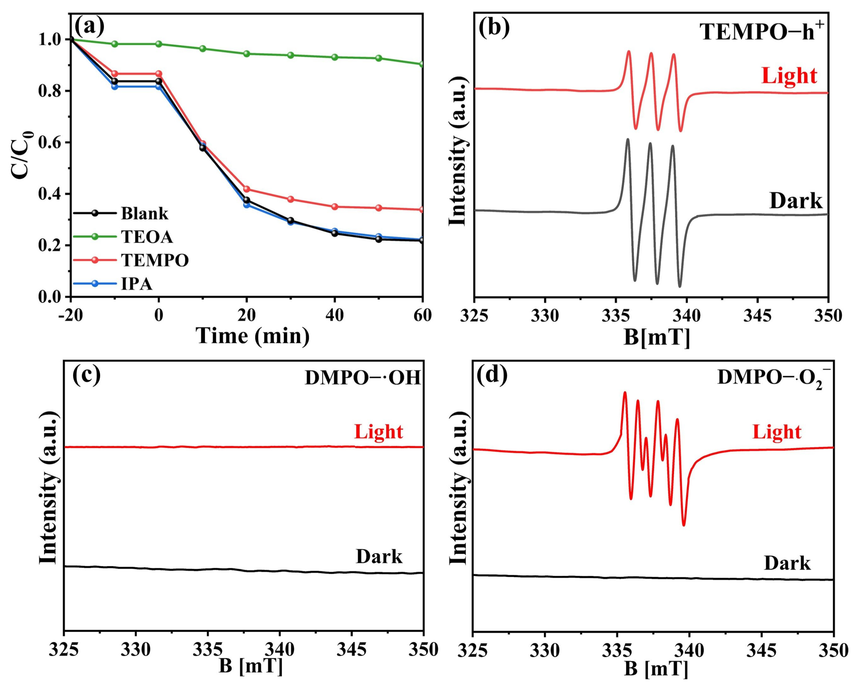 Molecules 28 06831 g010
