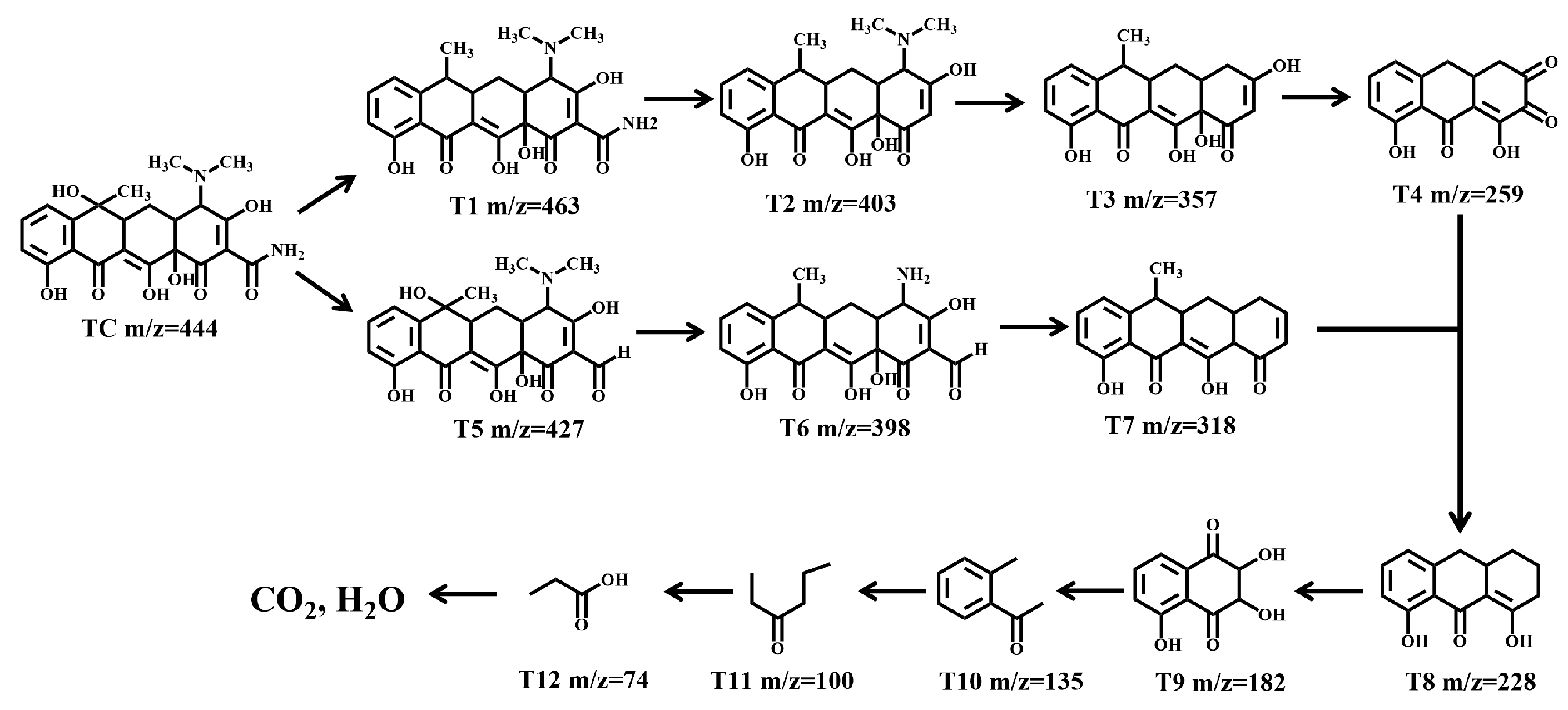 Molecules 28 06831 g011