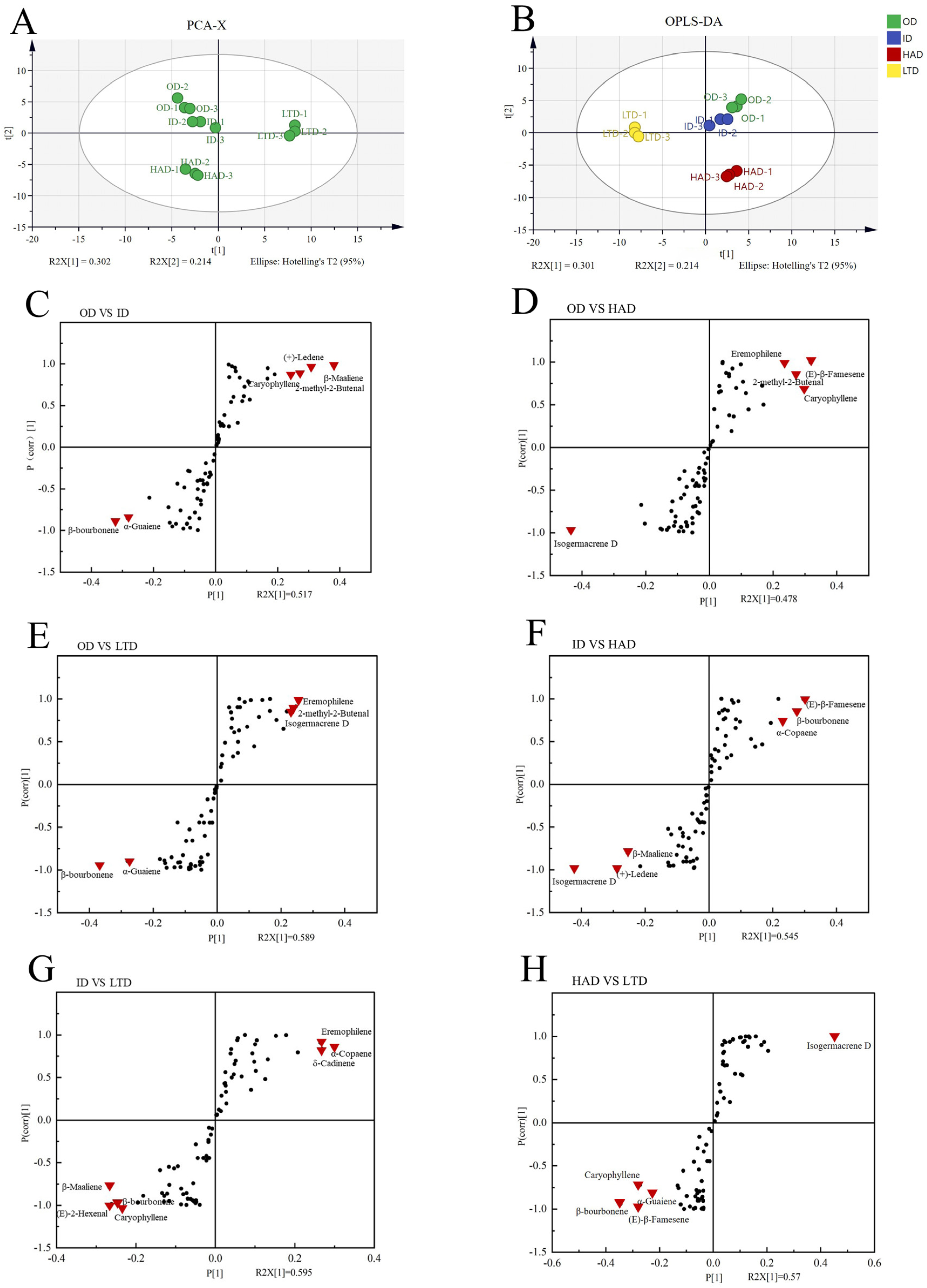 Molecules 28 06836 g004