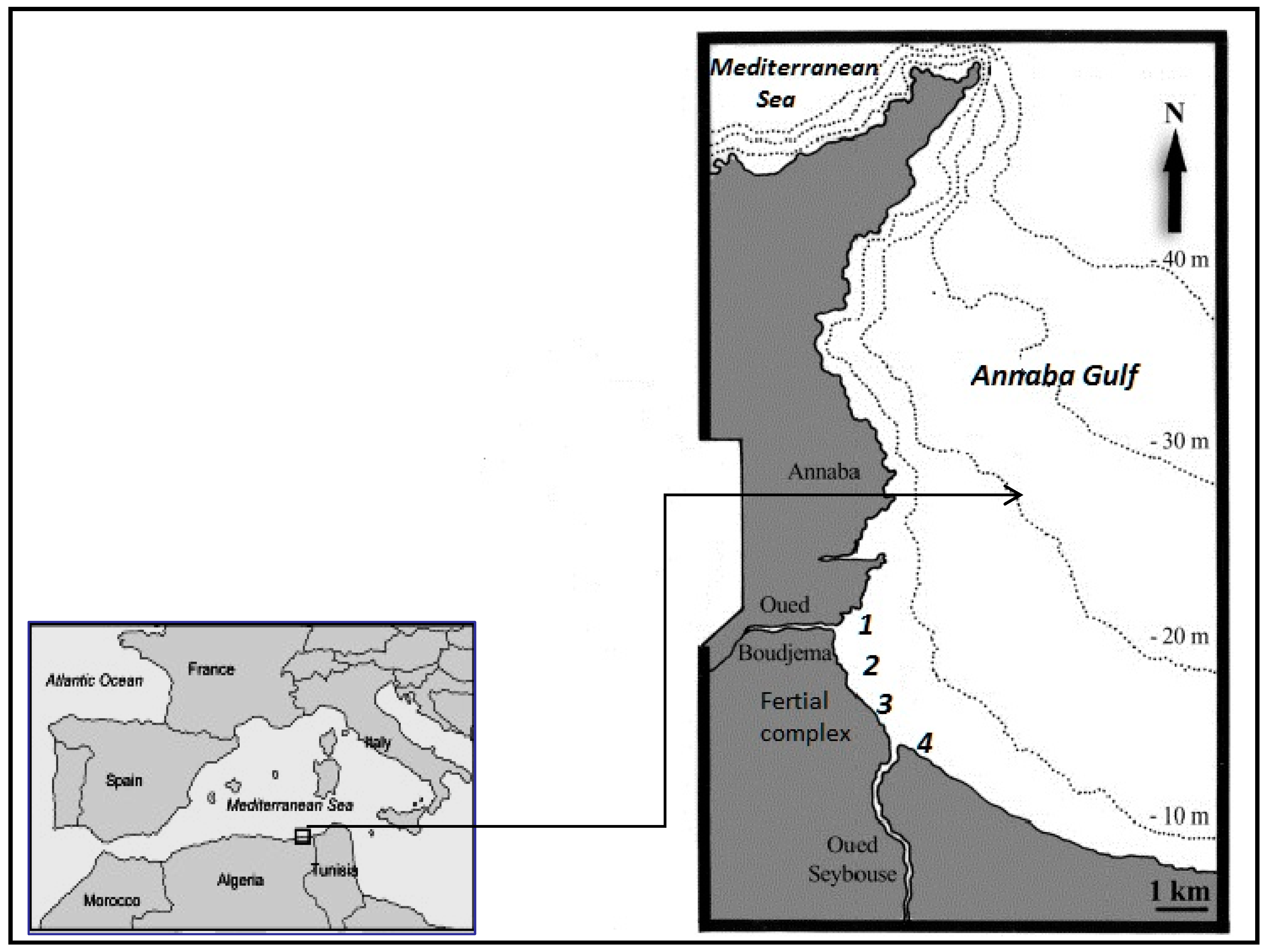 Molecules 28 06841 g003