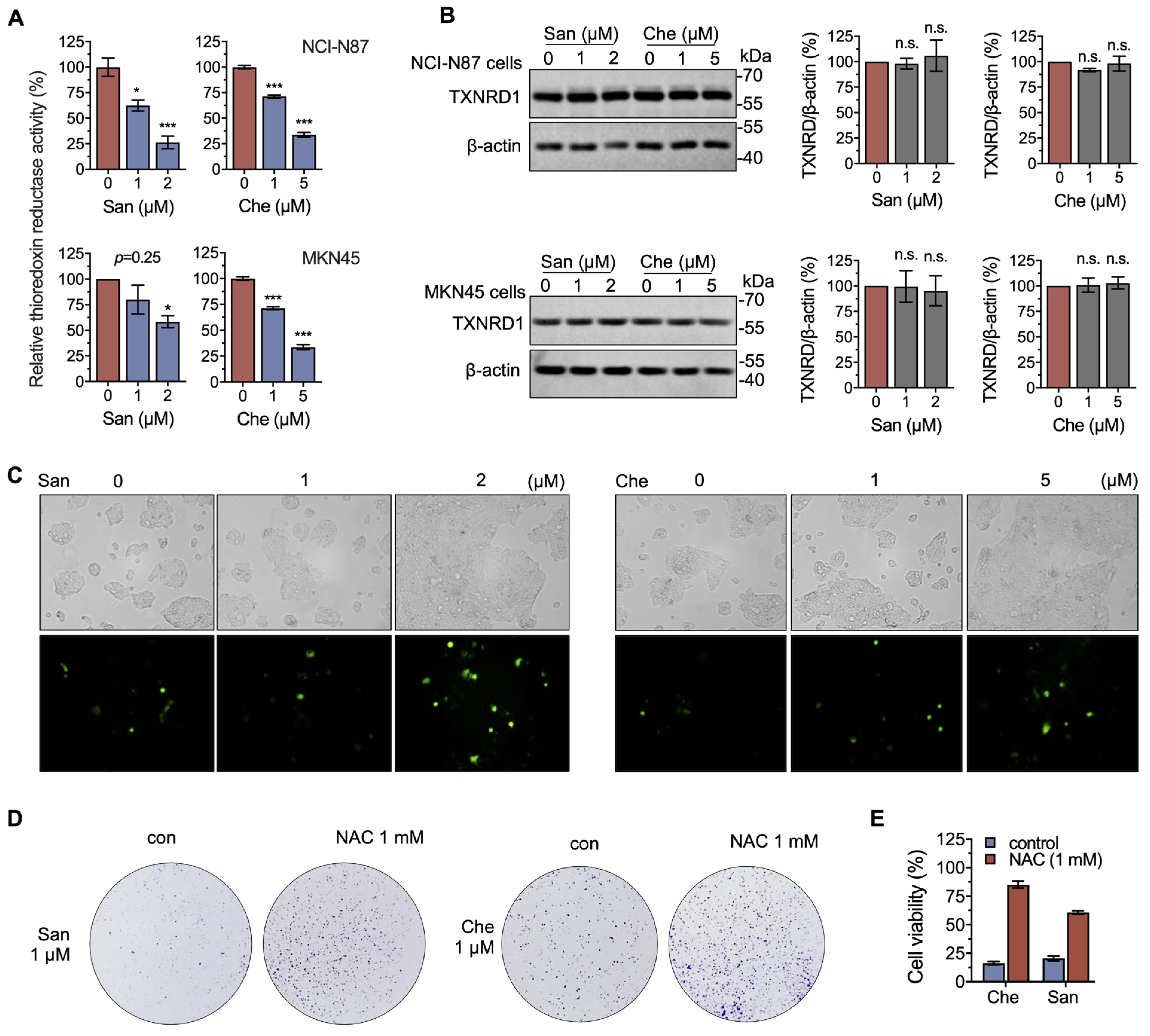 Molecules 28 06842 g004