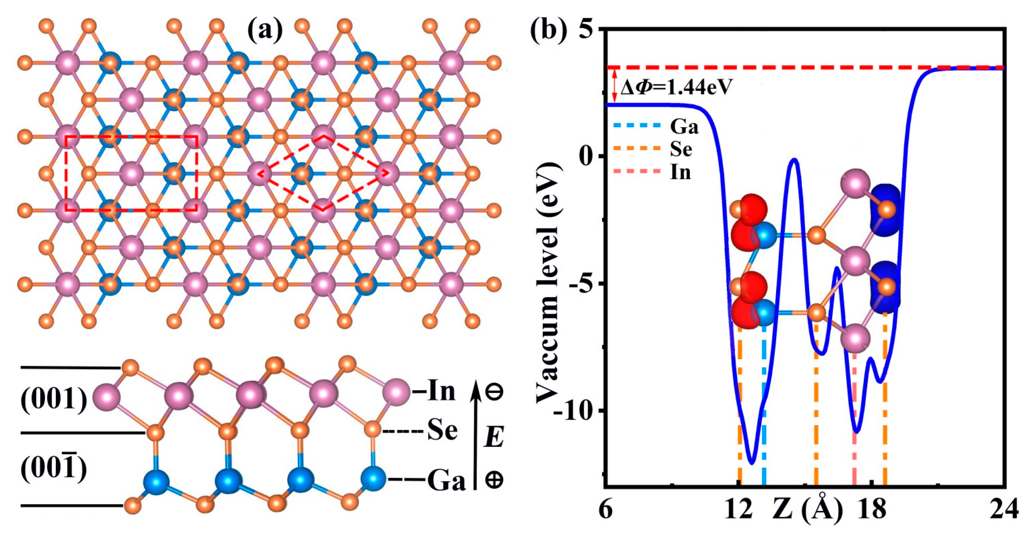 Molecules 28 06858 g001