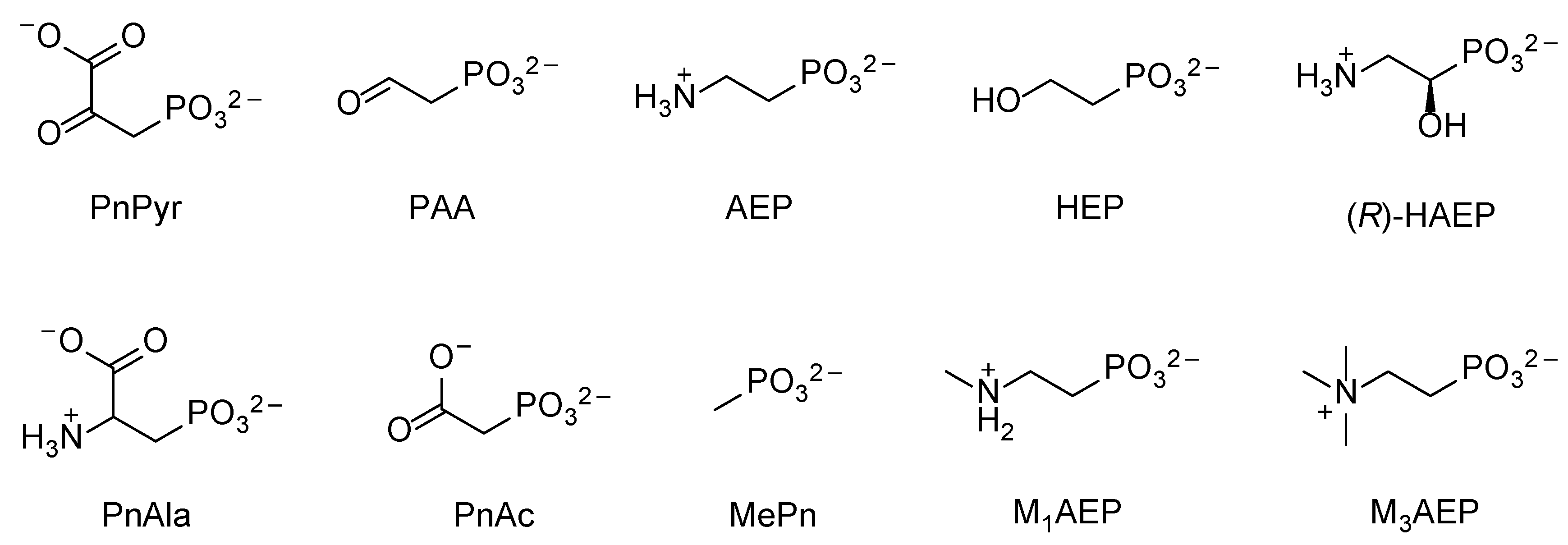 Molecules 28 06863 g001