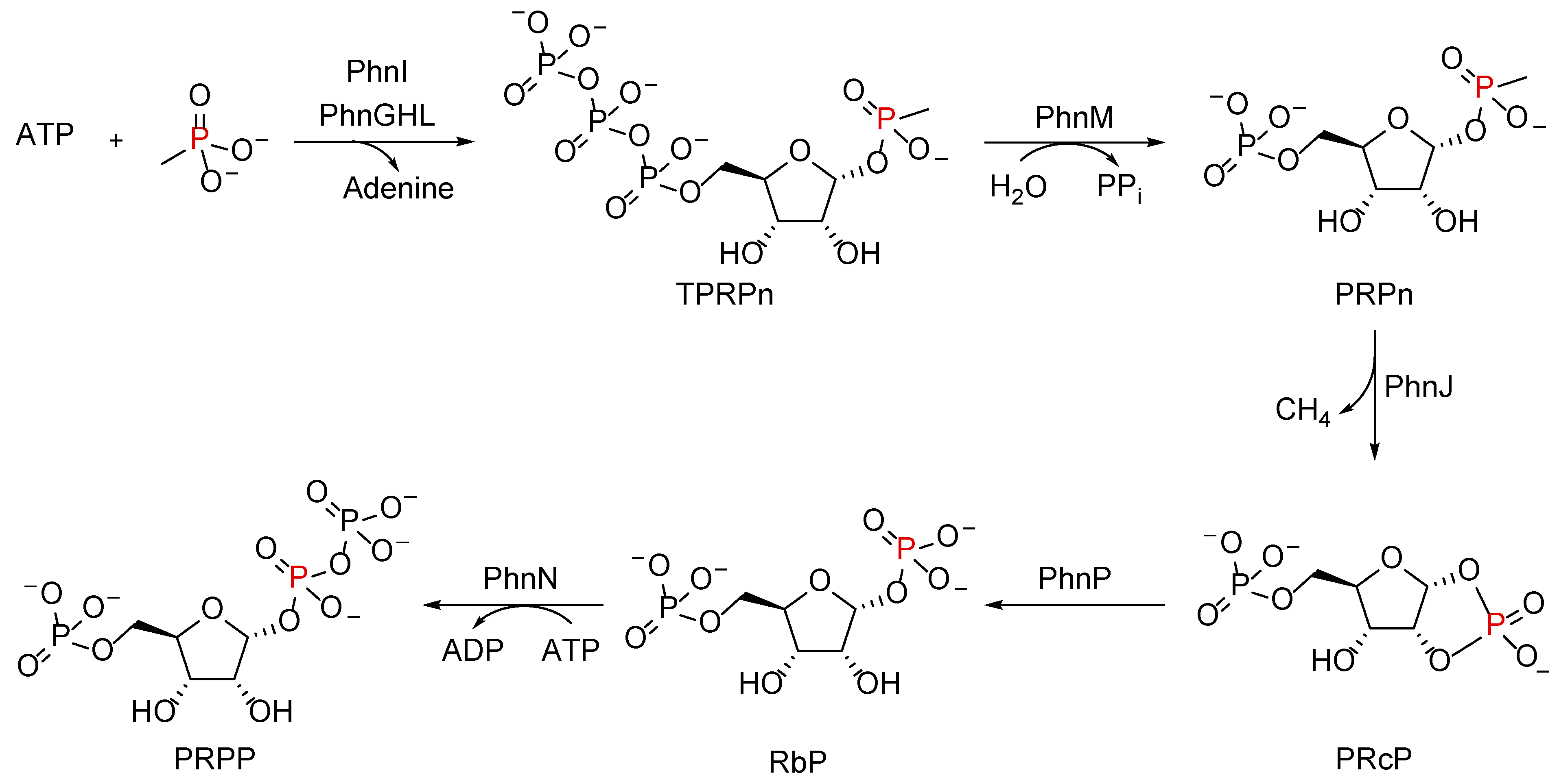 Molecules 28 06863 g007