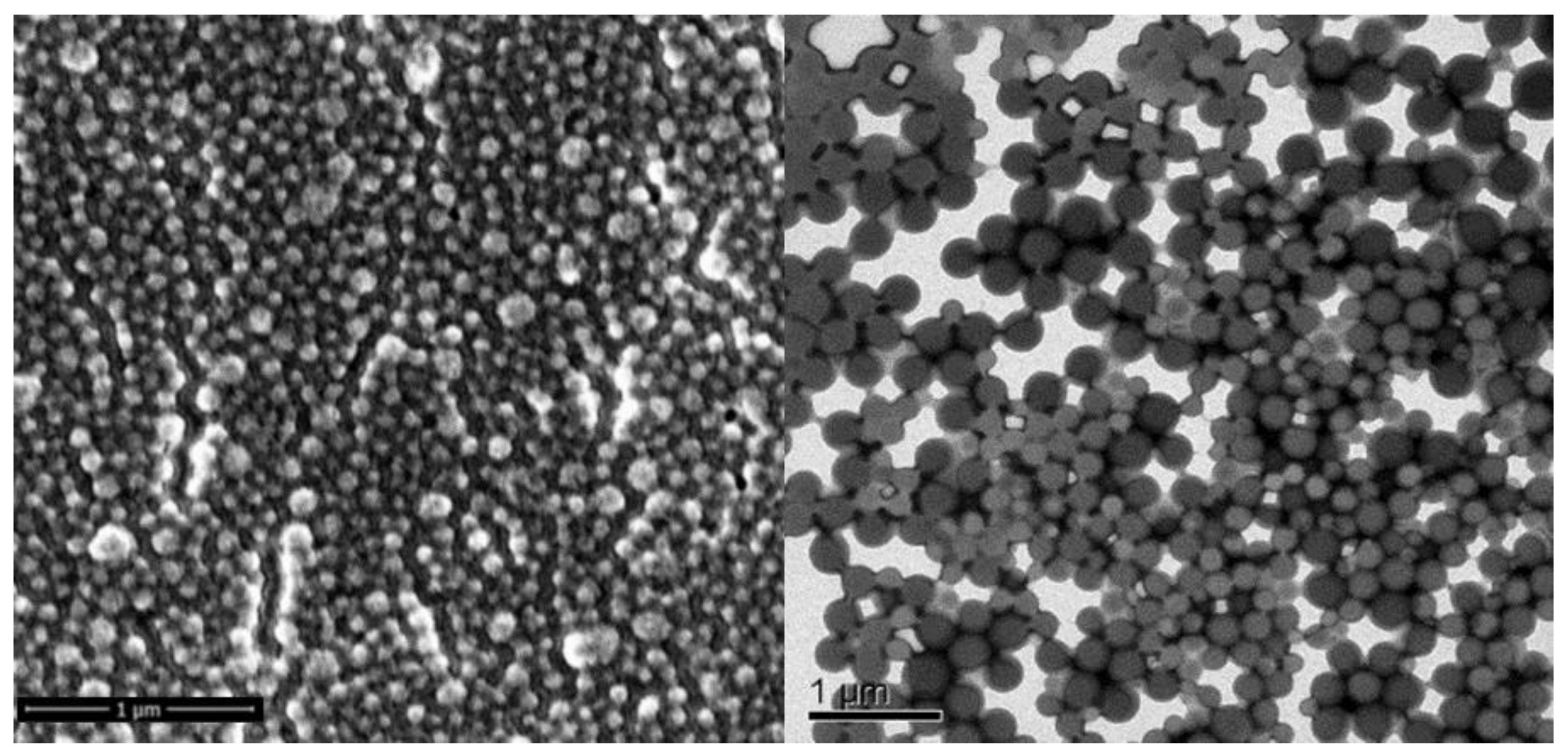 Molecules 28 06907 g001