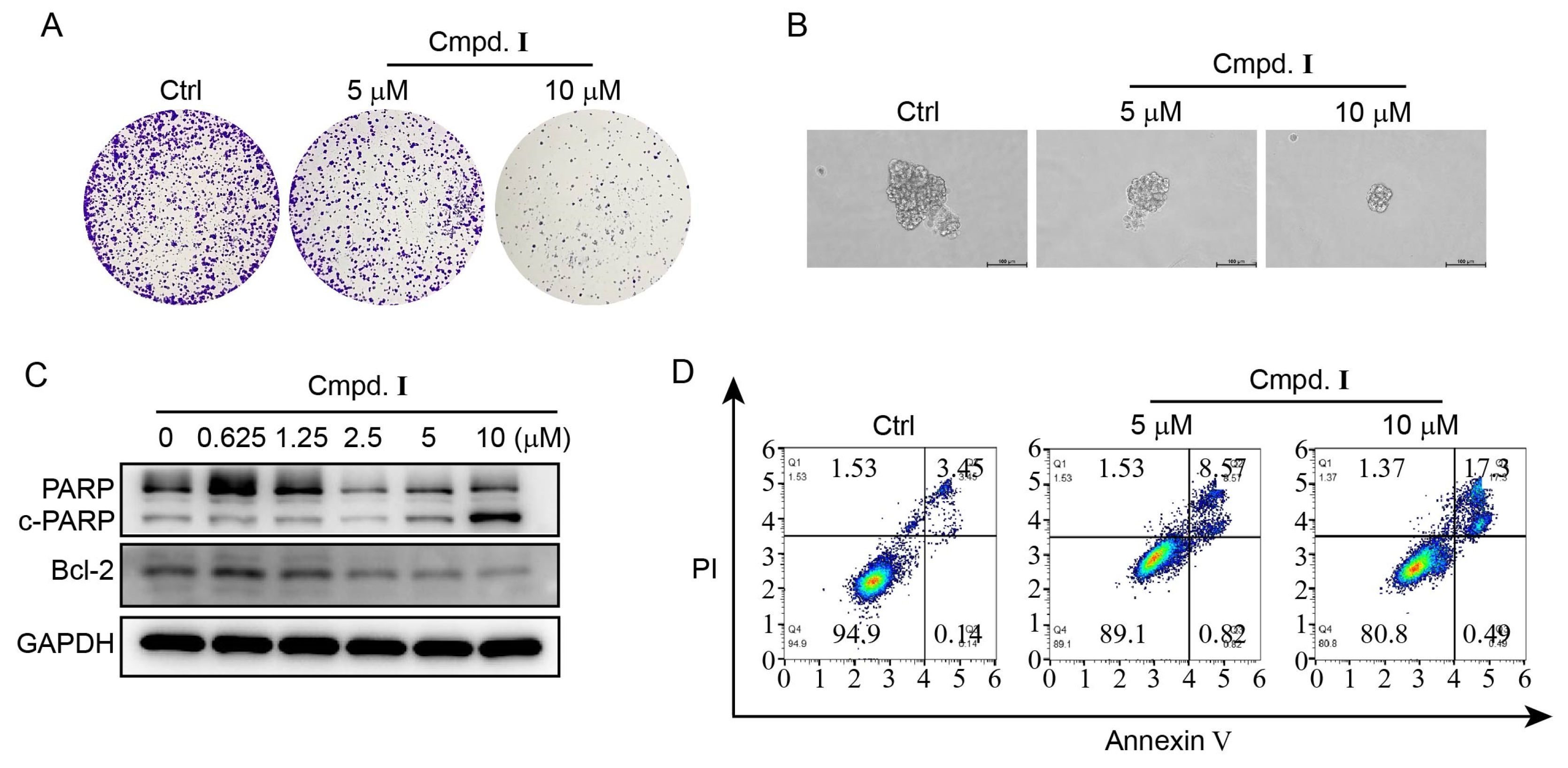 Molecules 28 06917 g004 Molecules 28 06917 g004