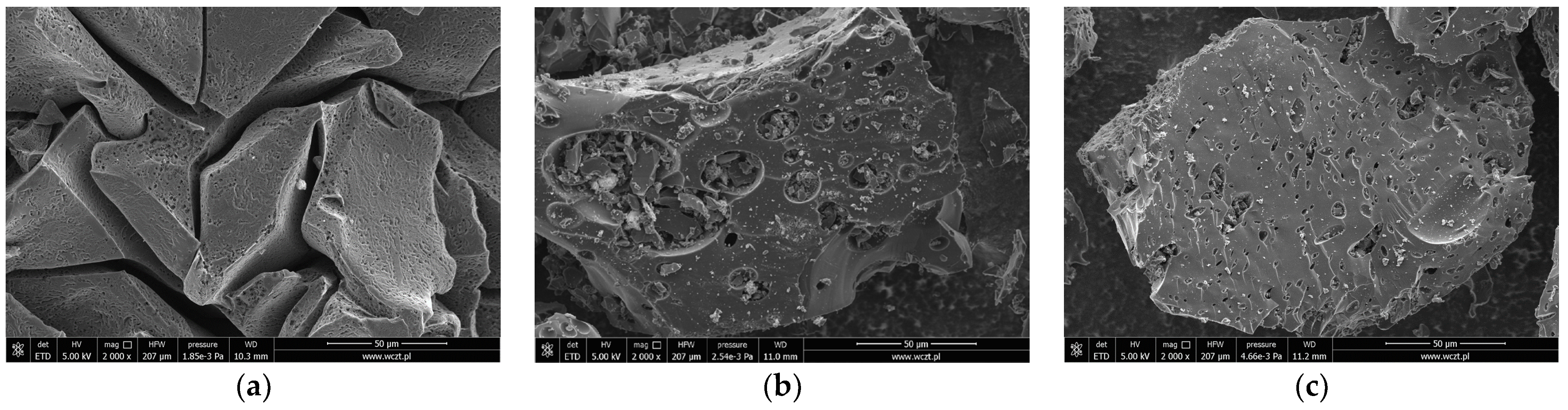 Molecules 28 06919 g002