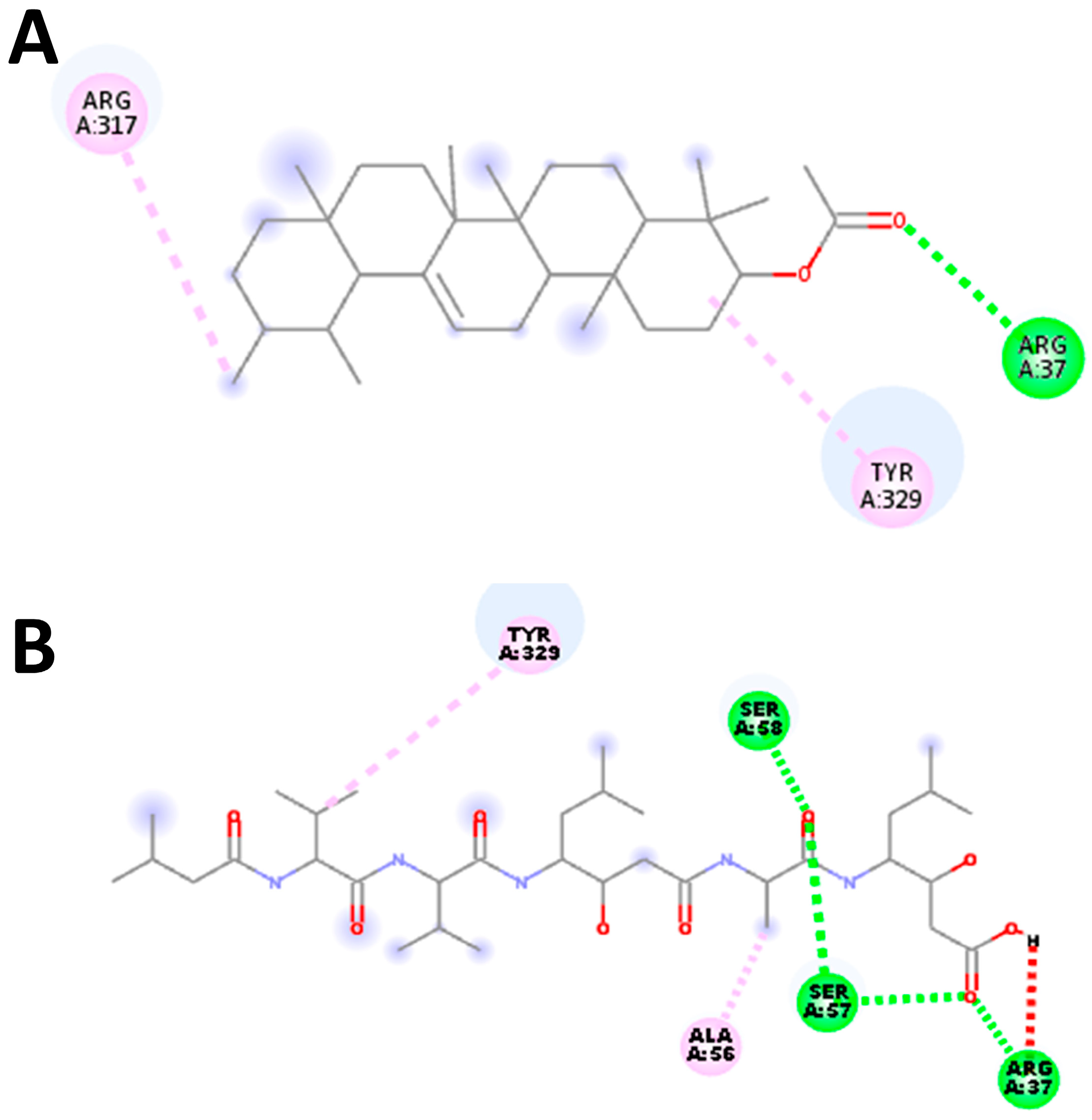 Molecules 28 06930 g008