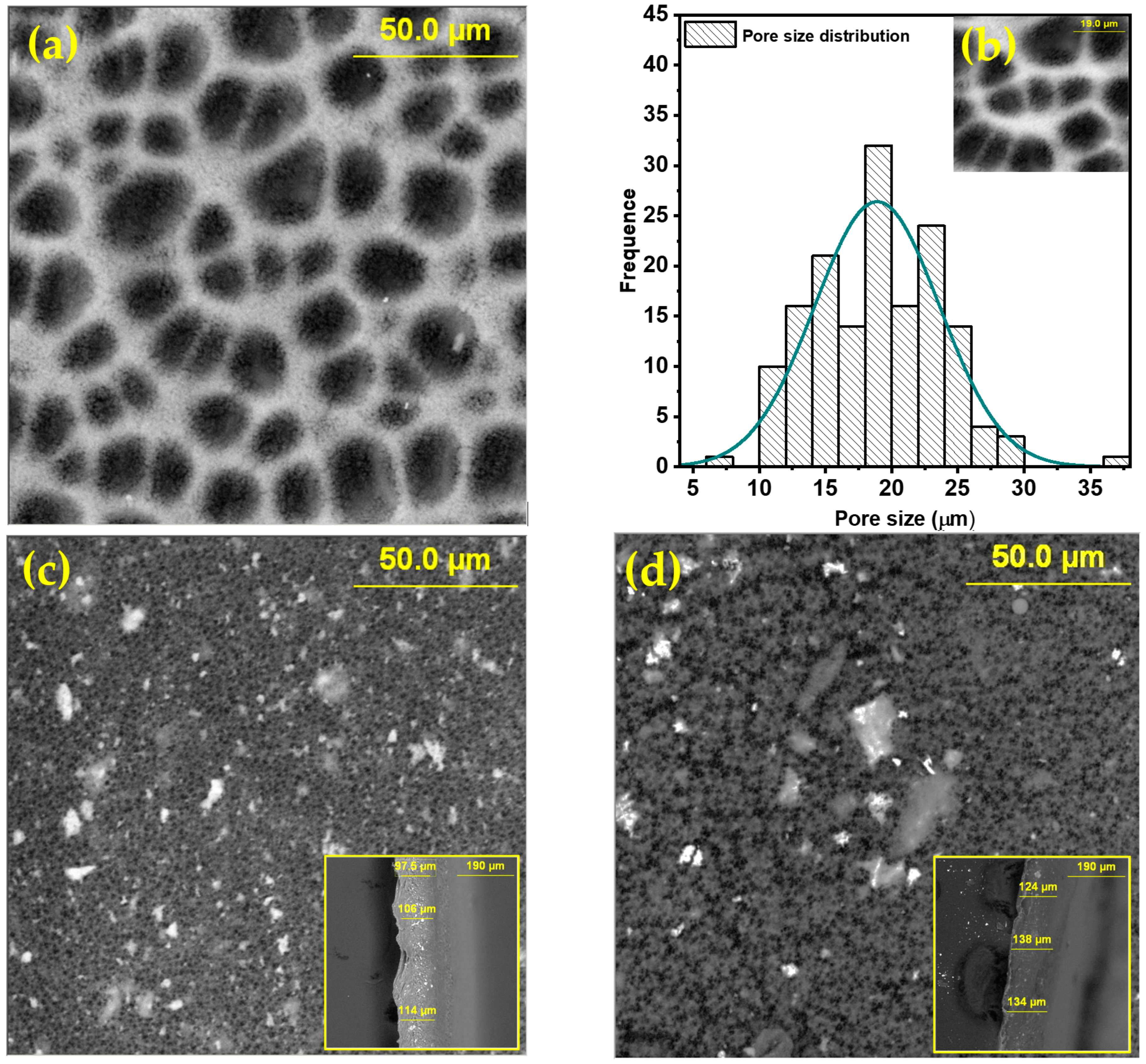Molecules 28 06932 g002