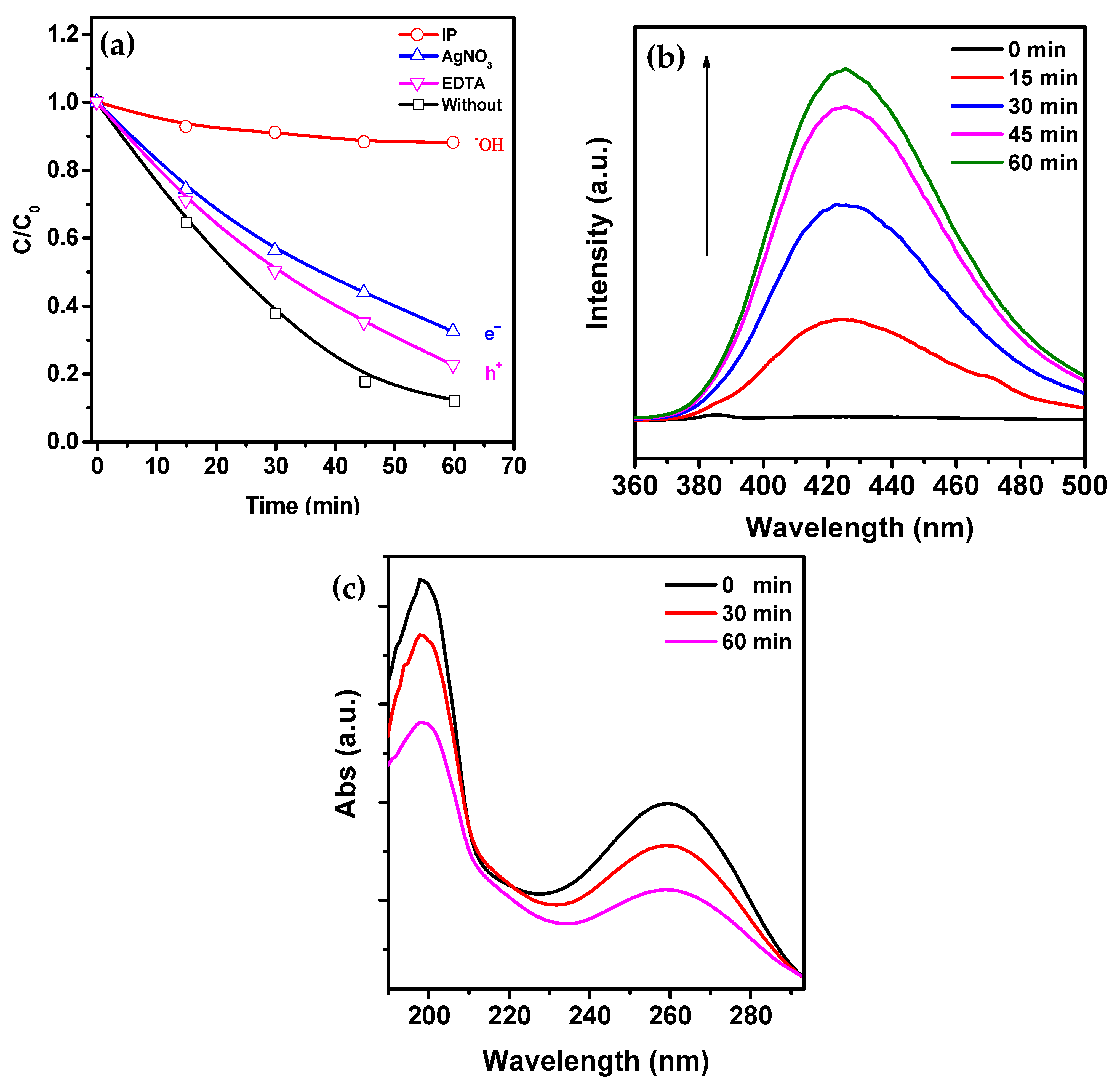 Molecules 28 06932 g007