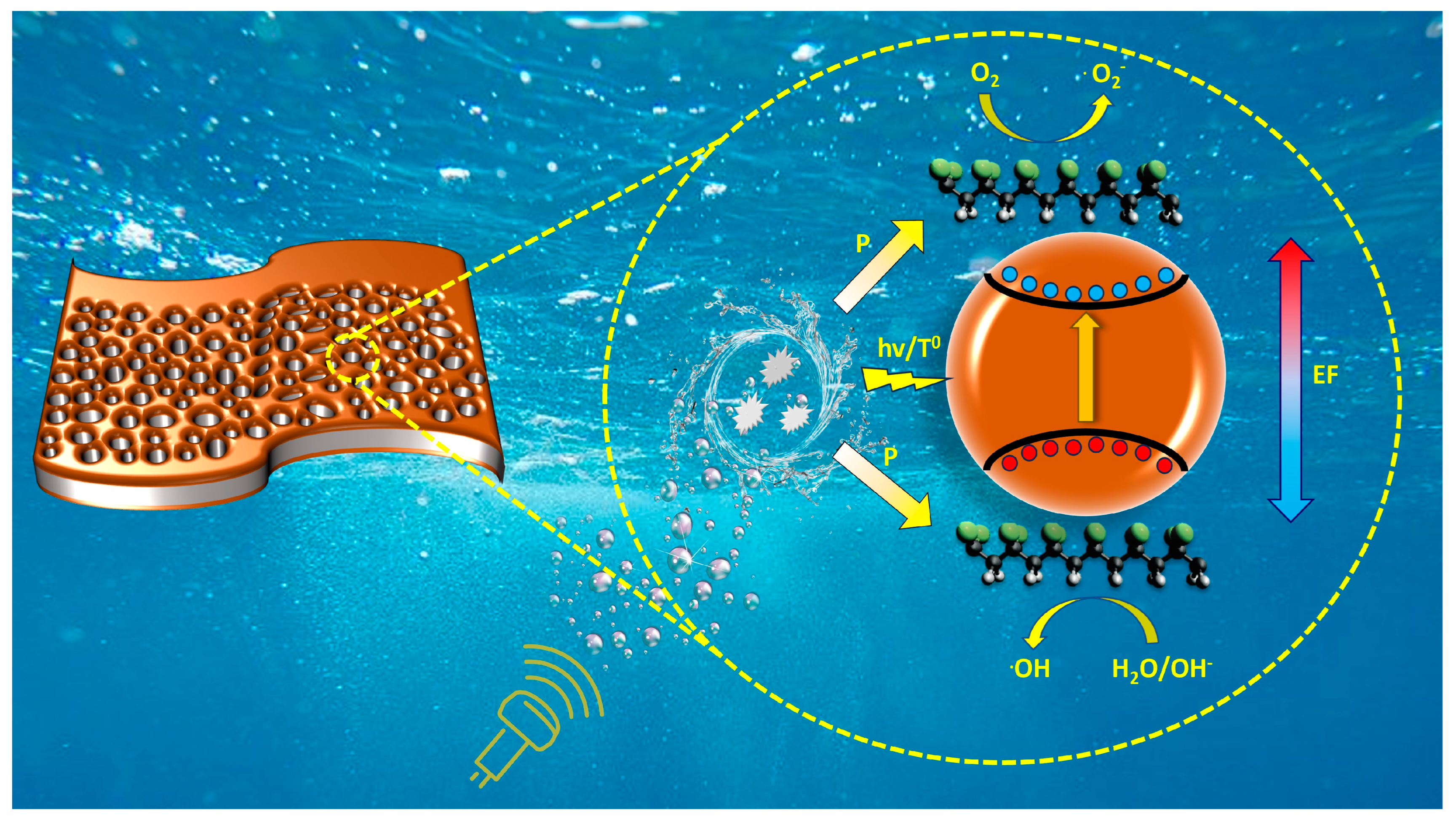 Molecules 28 06932 g008