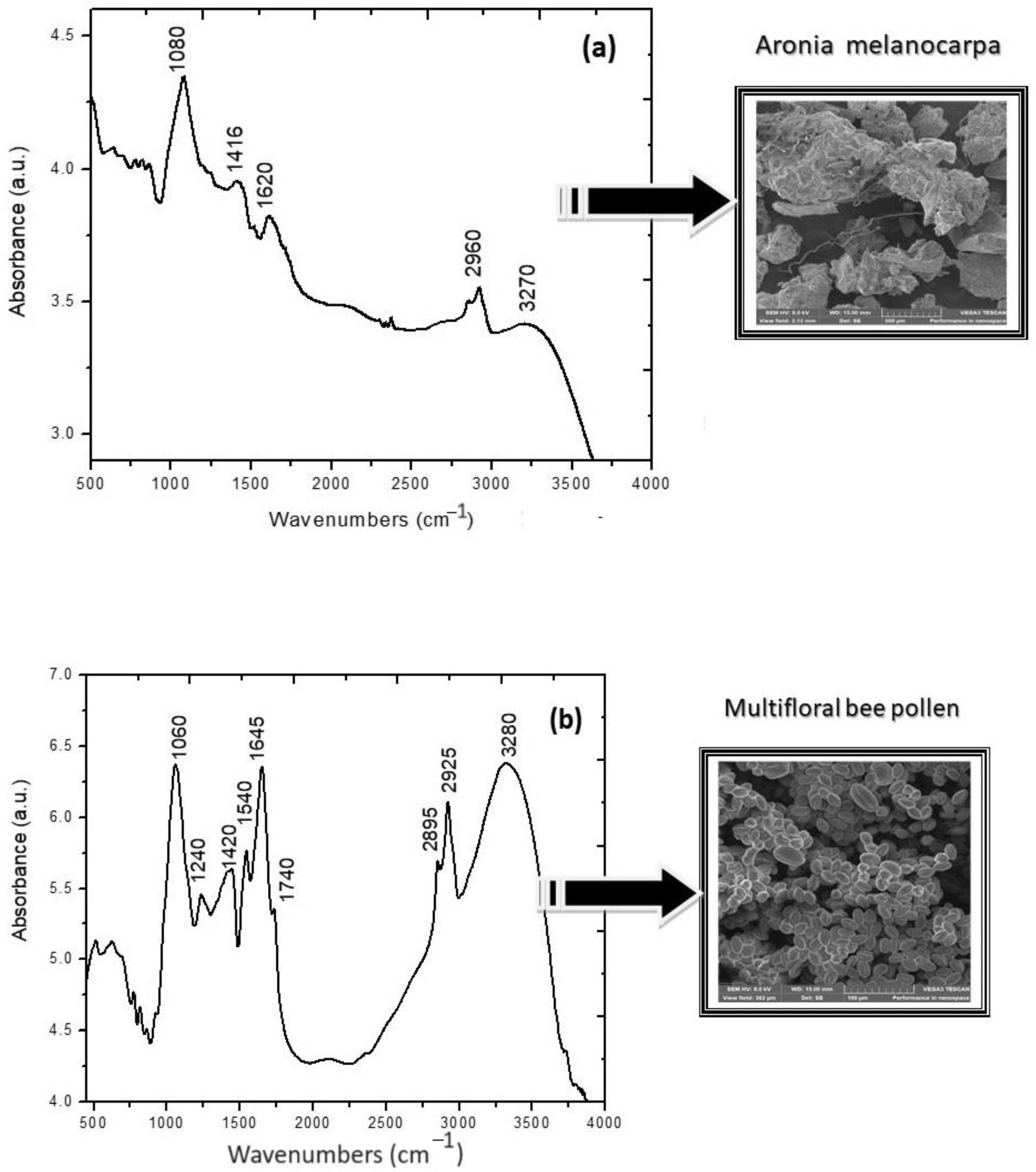 Molecules 28 06944 g001