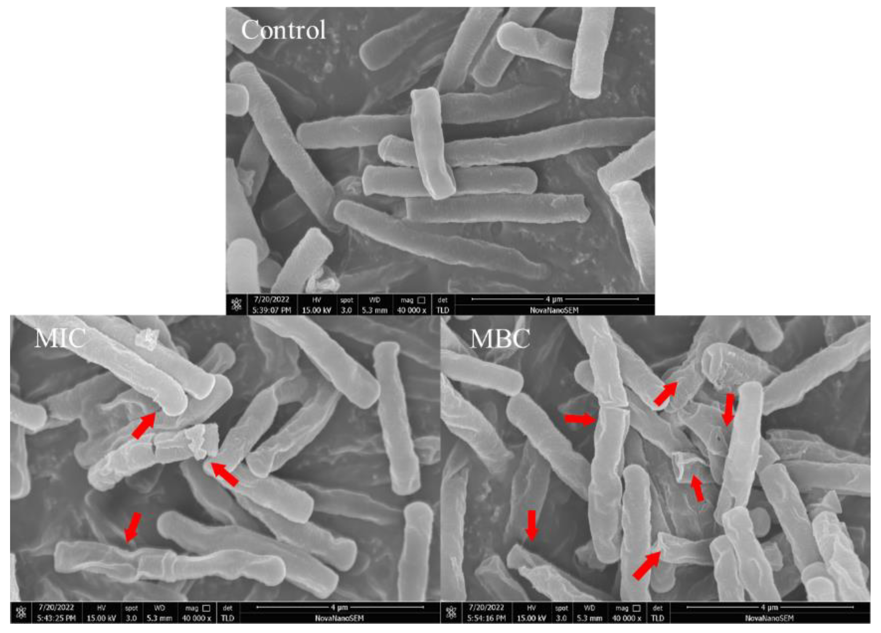 Molecules 28 06946 g004