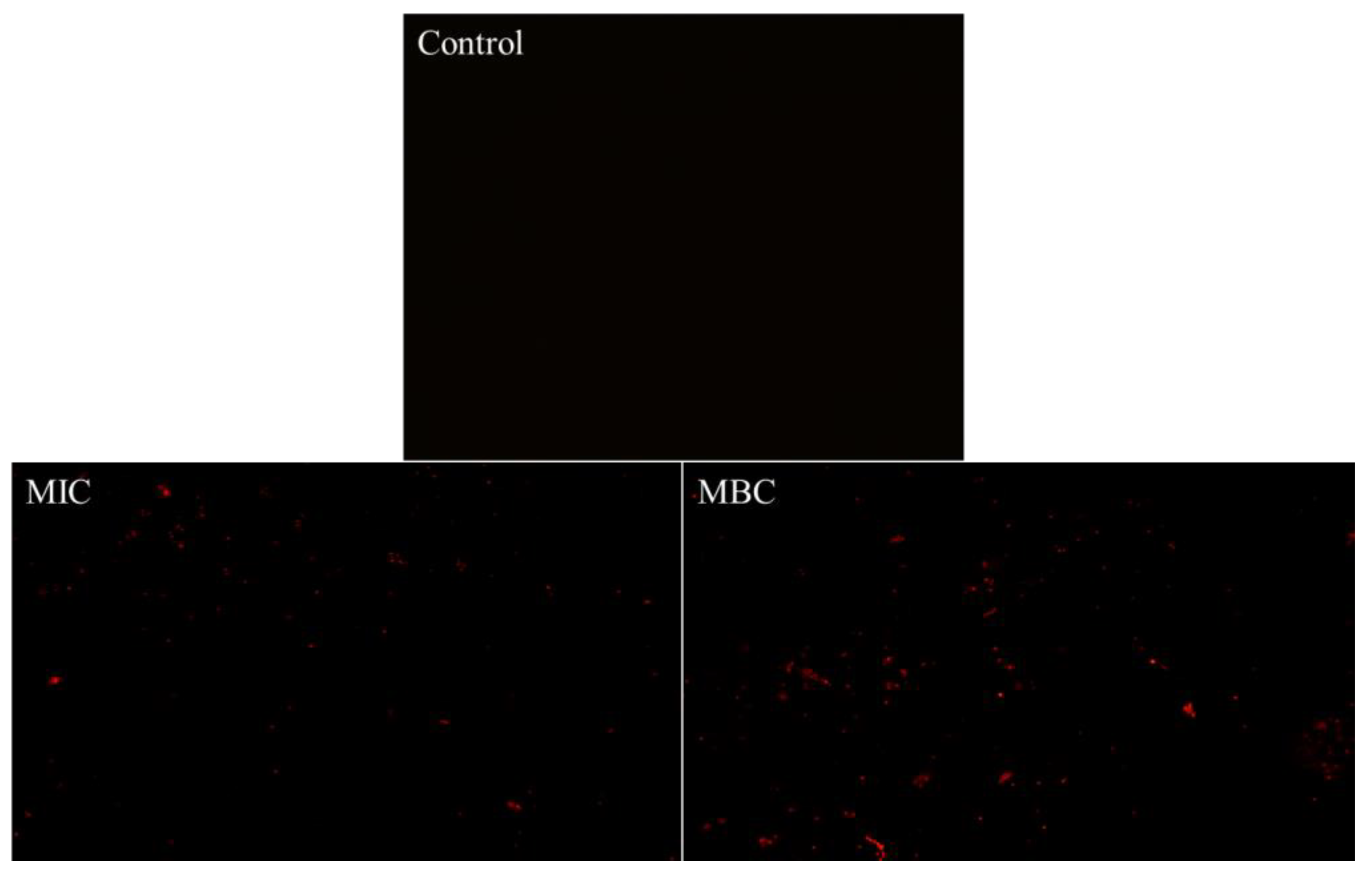 Molecules 28 06946 g005