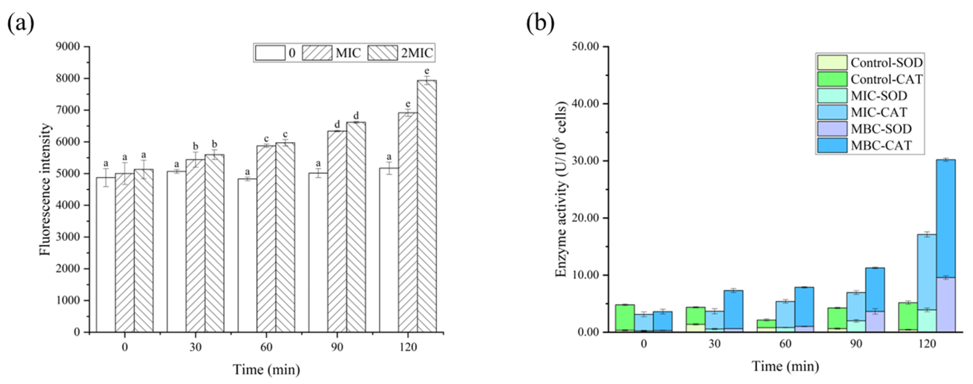 Molecules 28 06946 g008