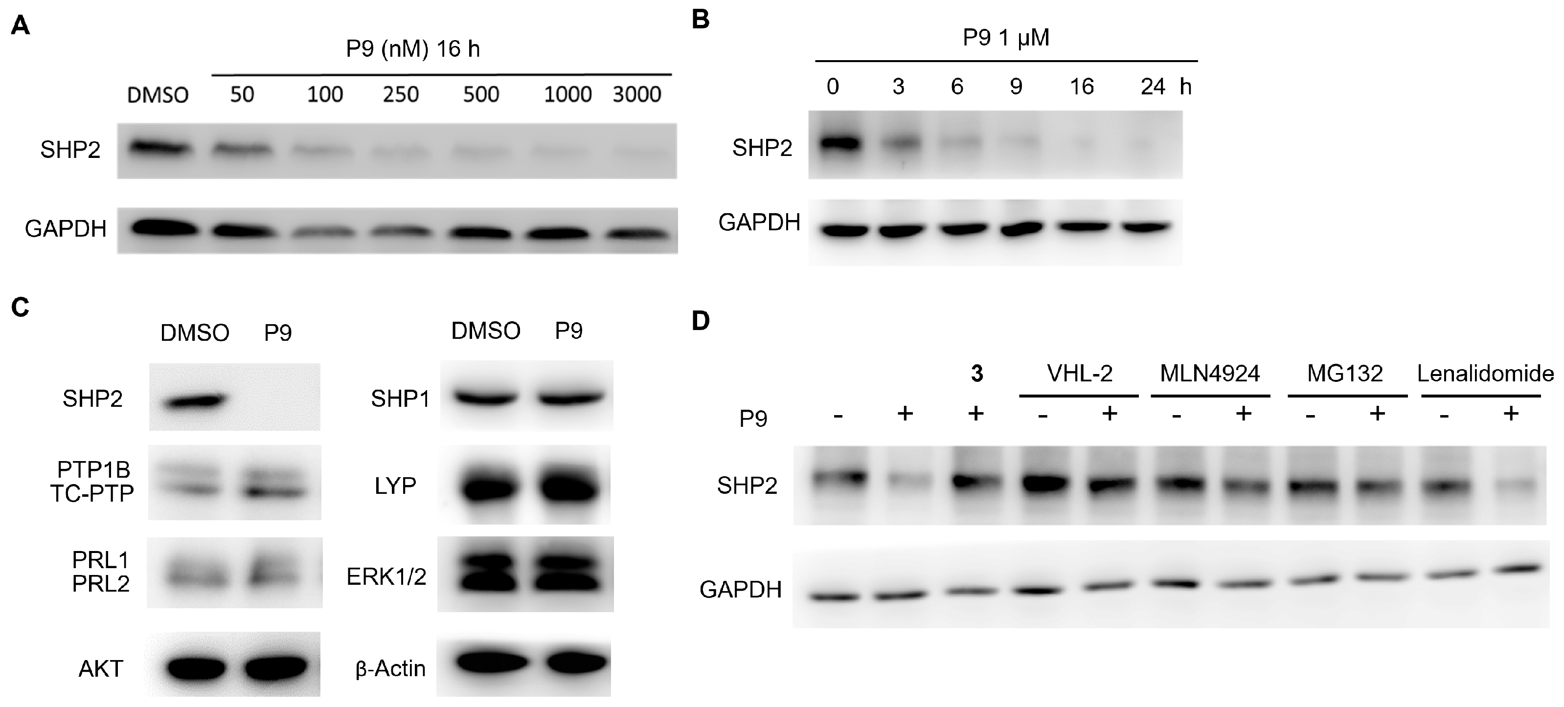 Molecules 28 06947 g003