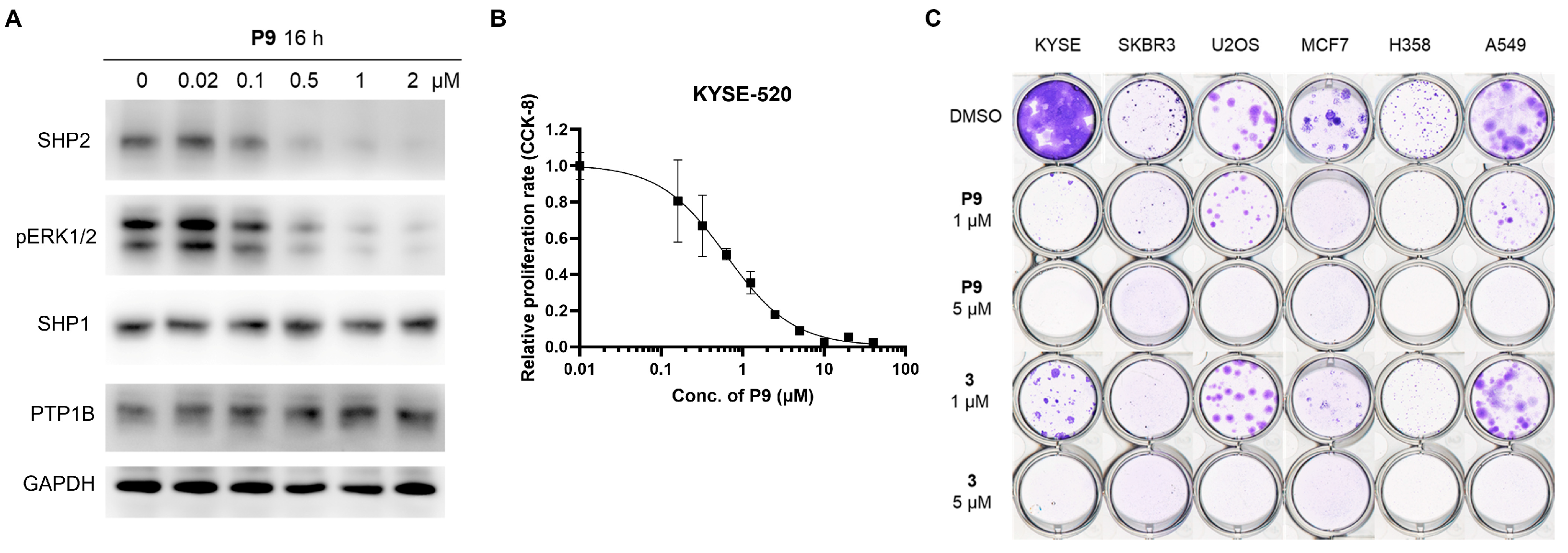 Molecules 28 06947 g004