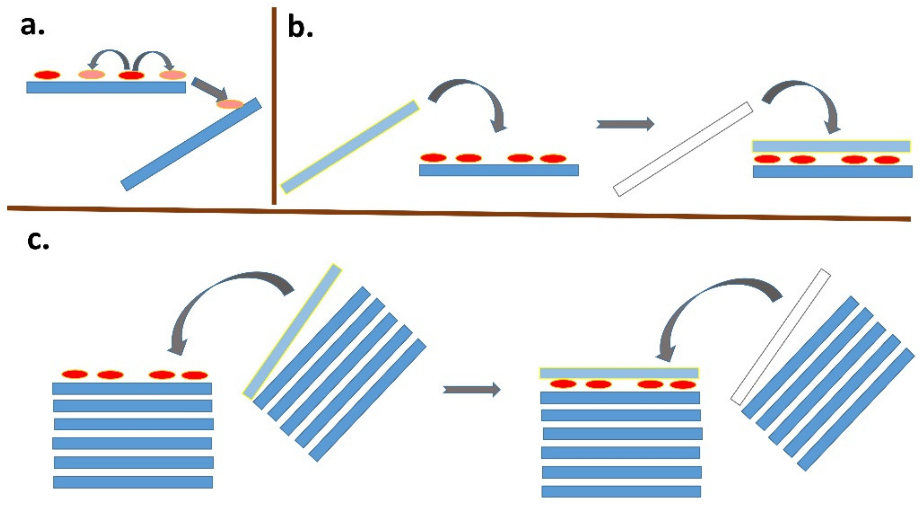 Molecules 28 06951 g005 Molecules 28 06951 g005